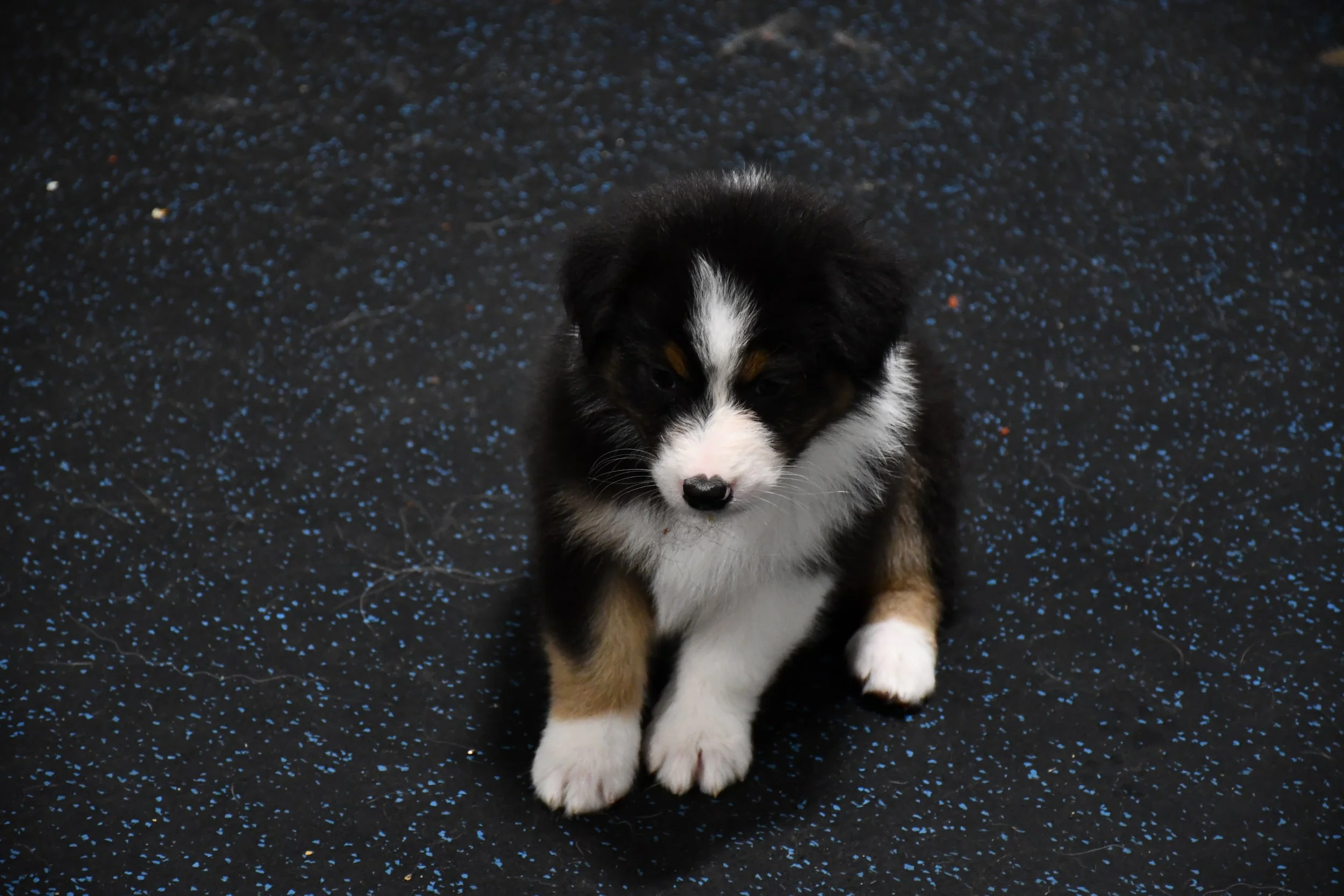 DSC_4721.JPG