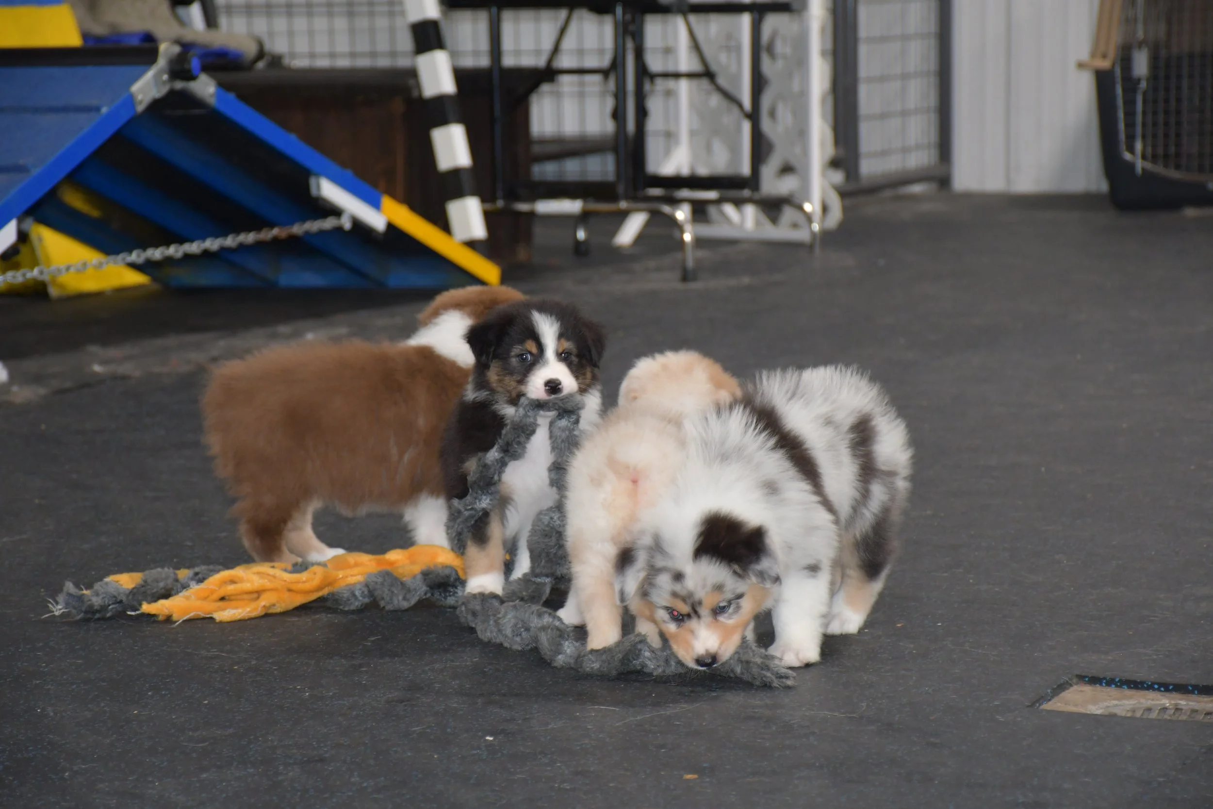 DSC_4601.JPG