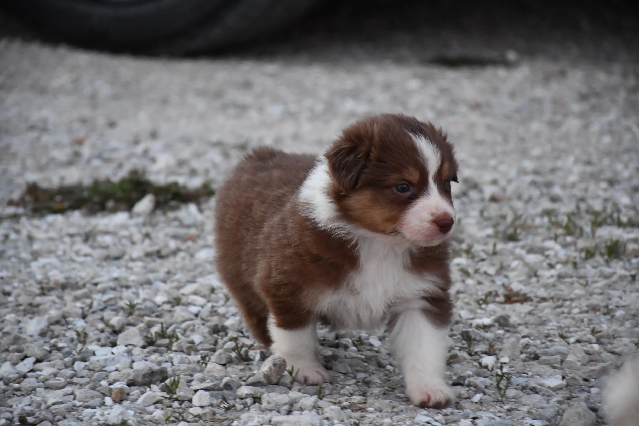 DSC_3819.JPG