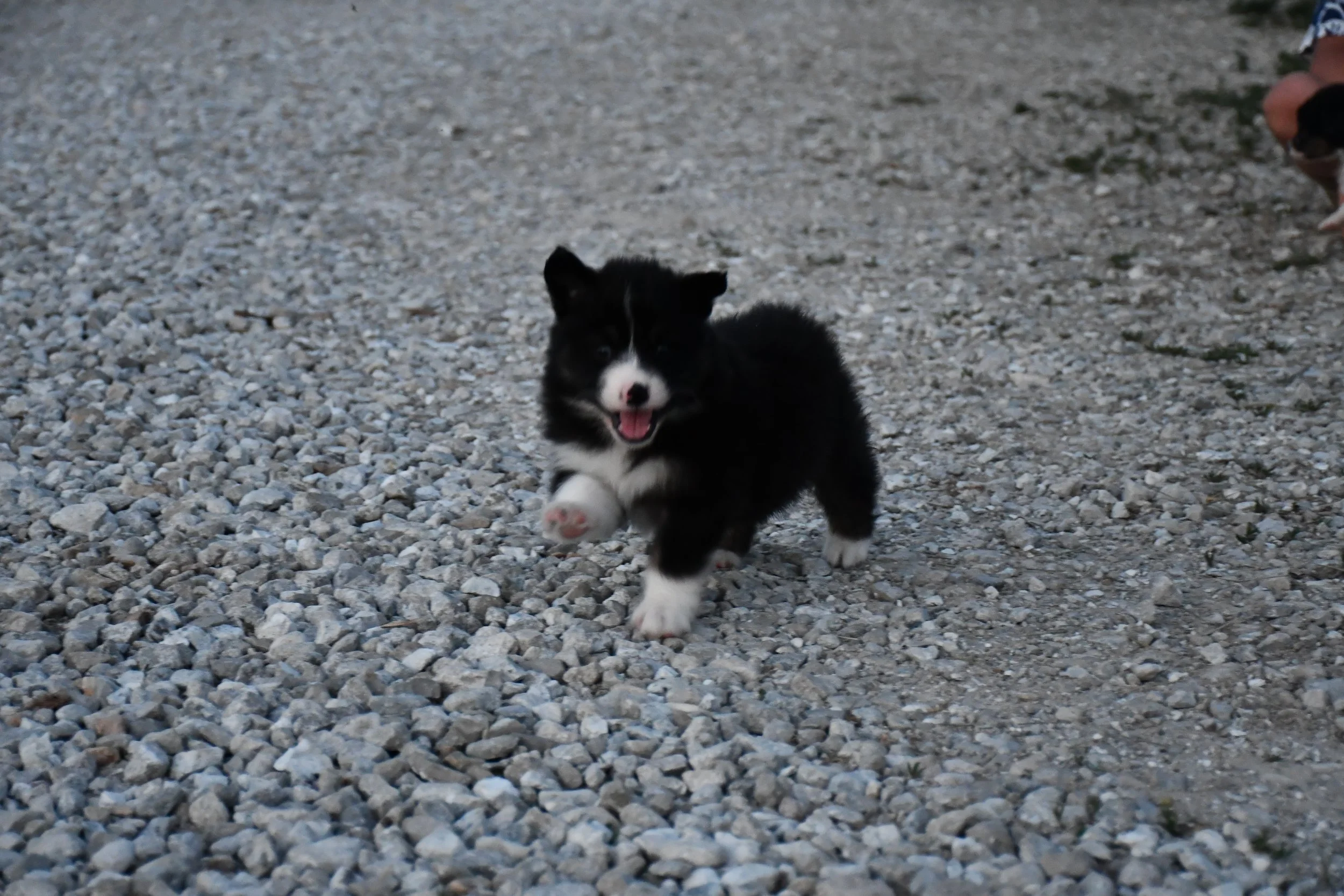 DSC_3935.JPG