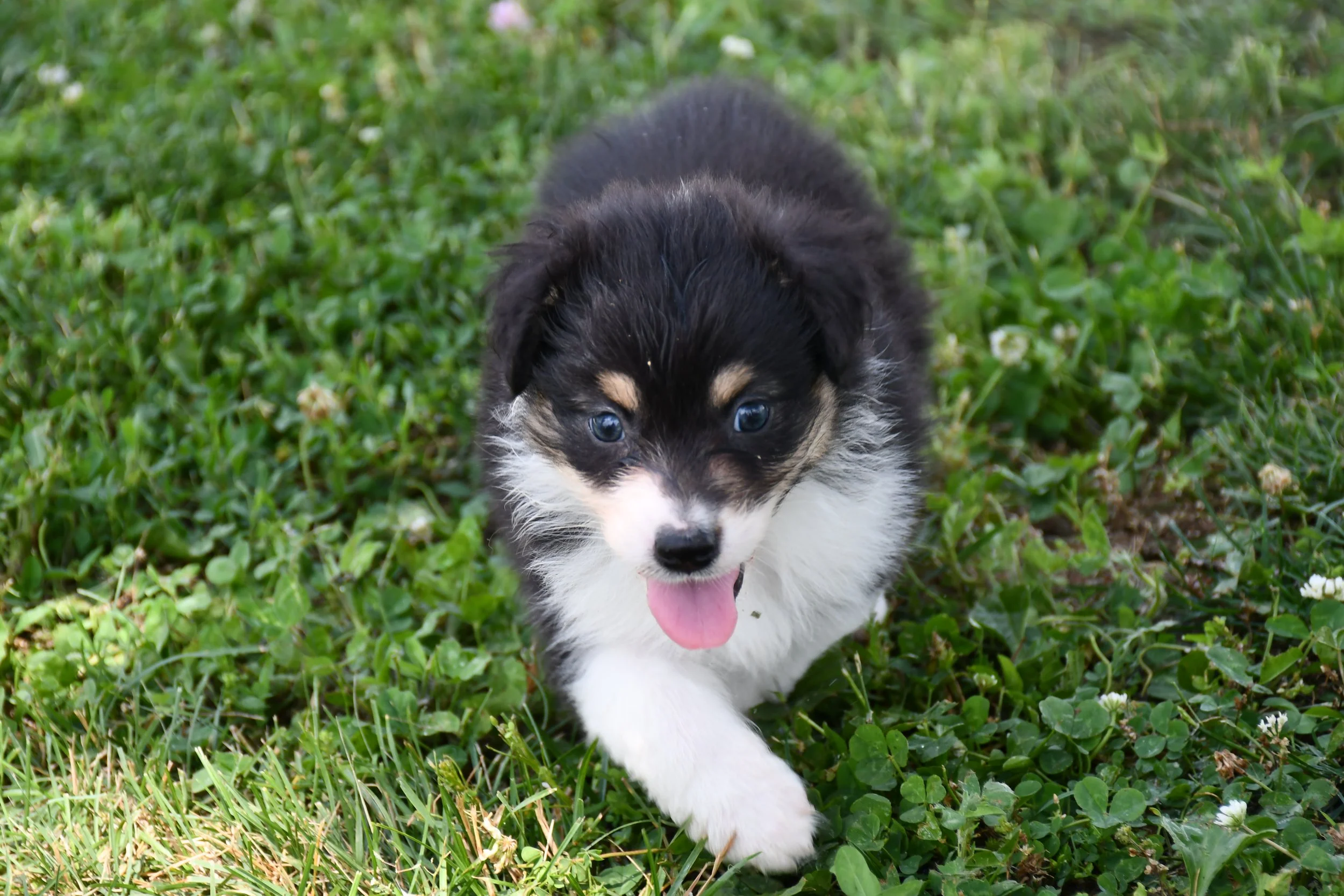 DSC_4450.JPG