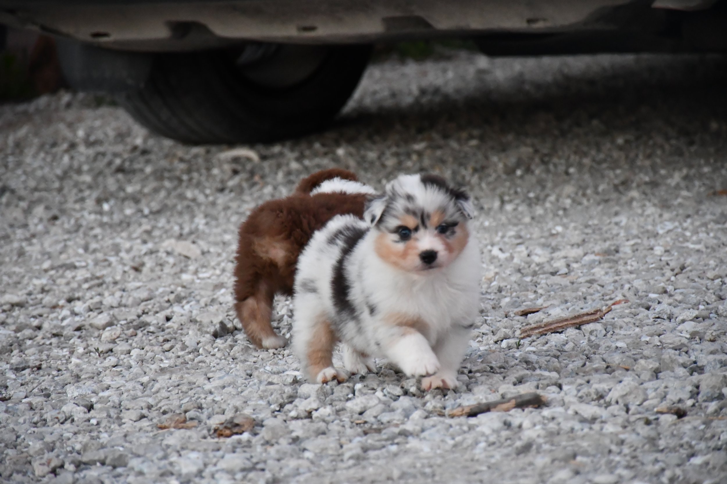 DSC_3867.JPG