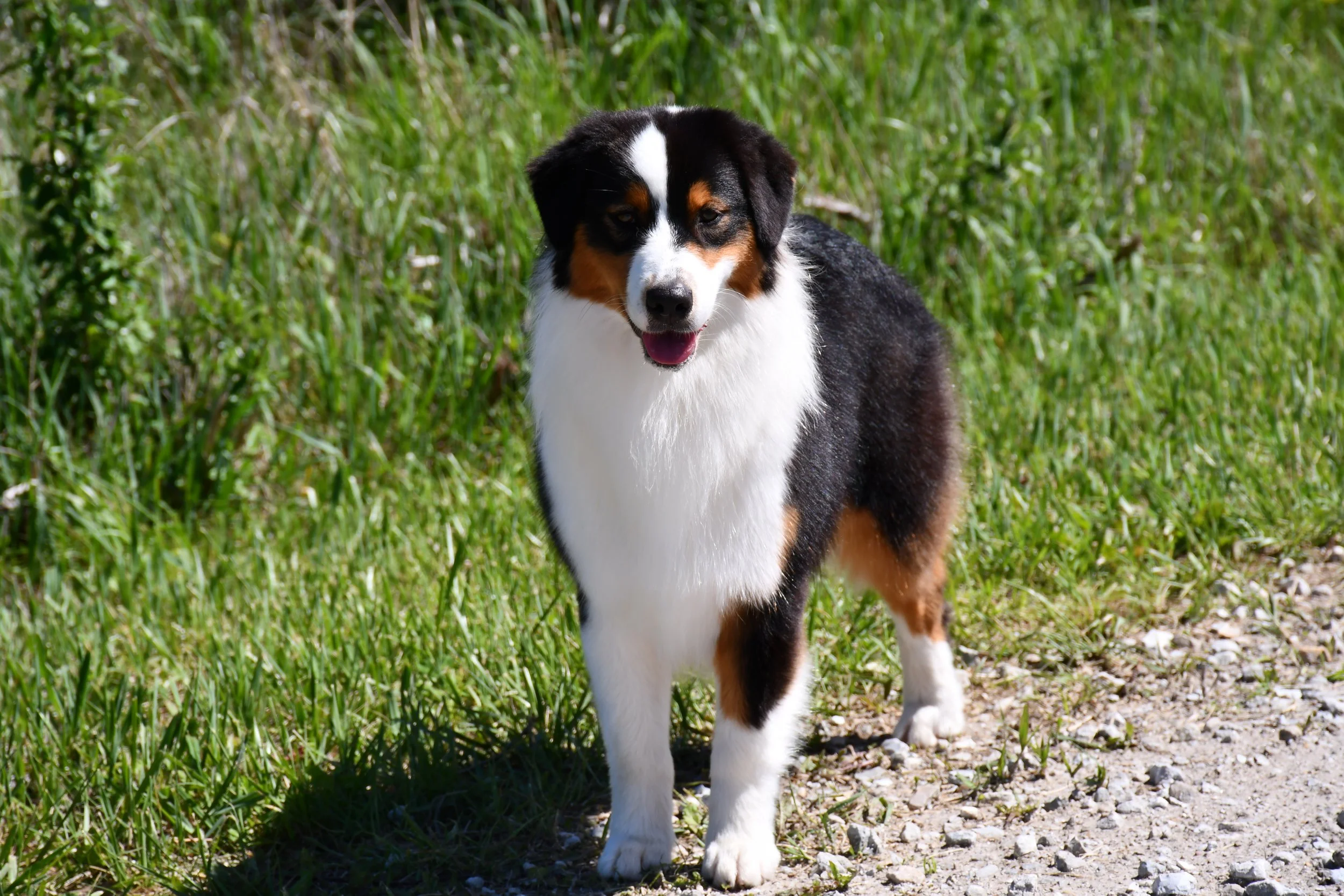DSC_2494.JPG