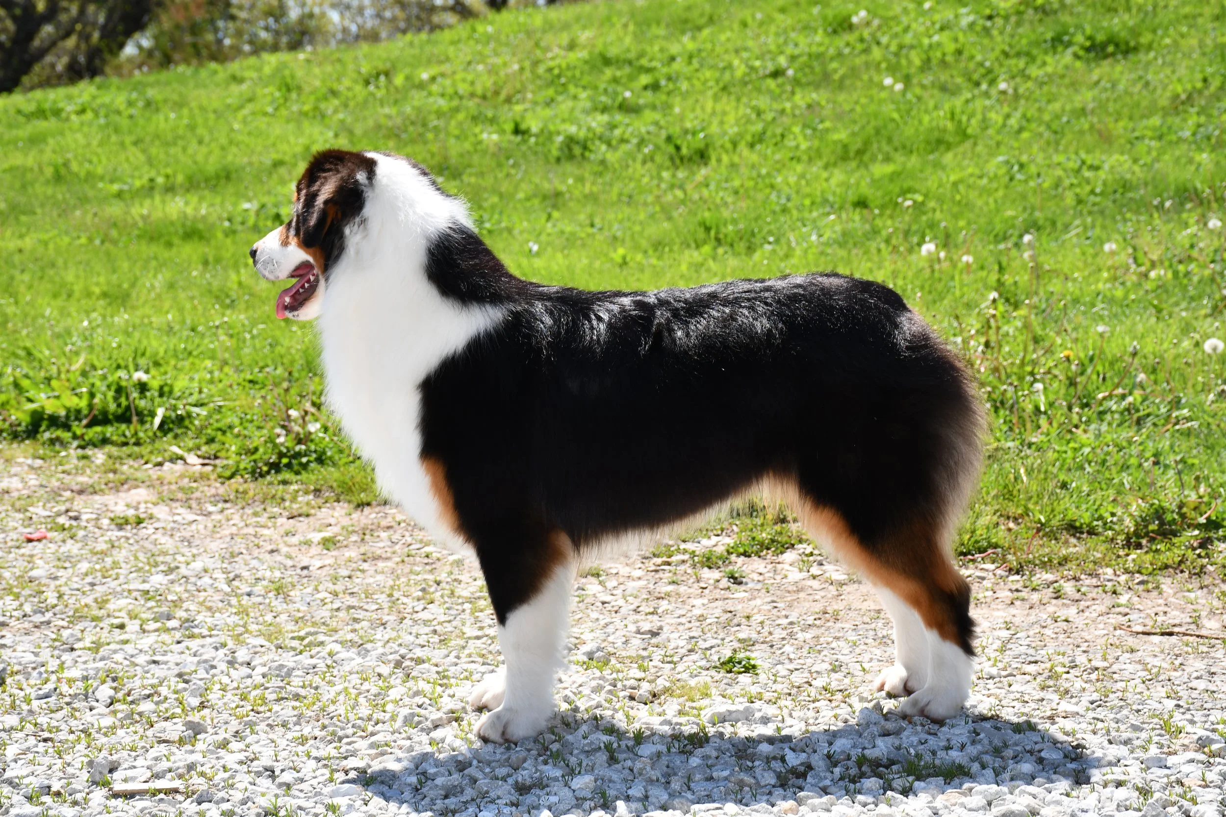 DSC_2525.JPG