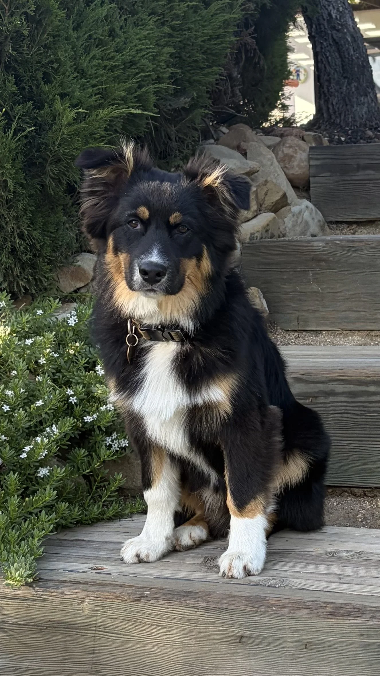 Boots (Connor x Lozen)