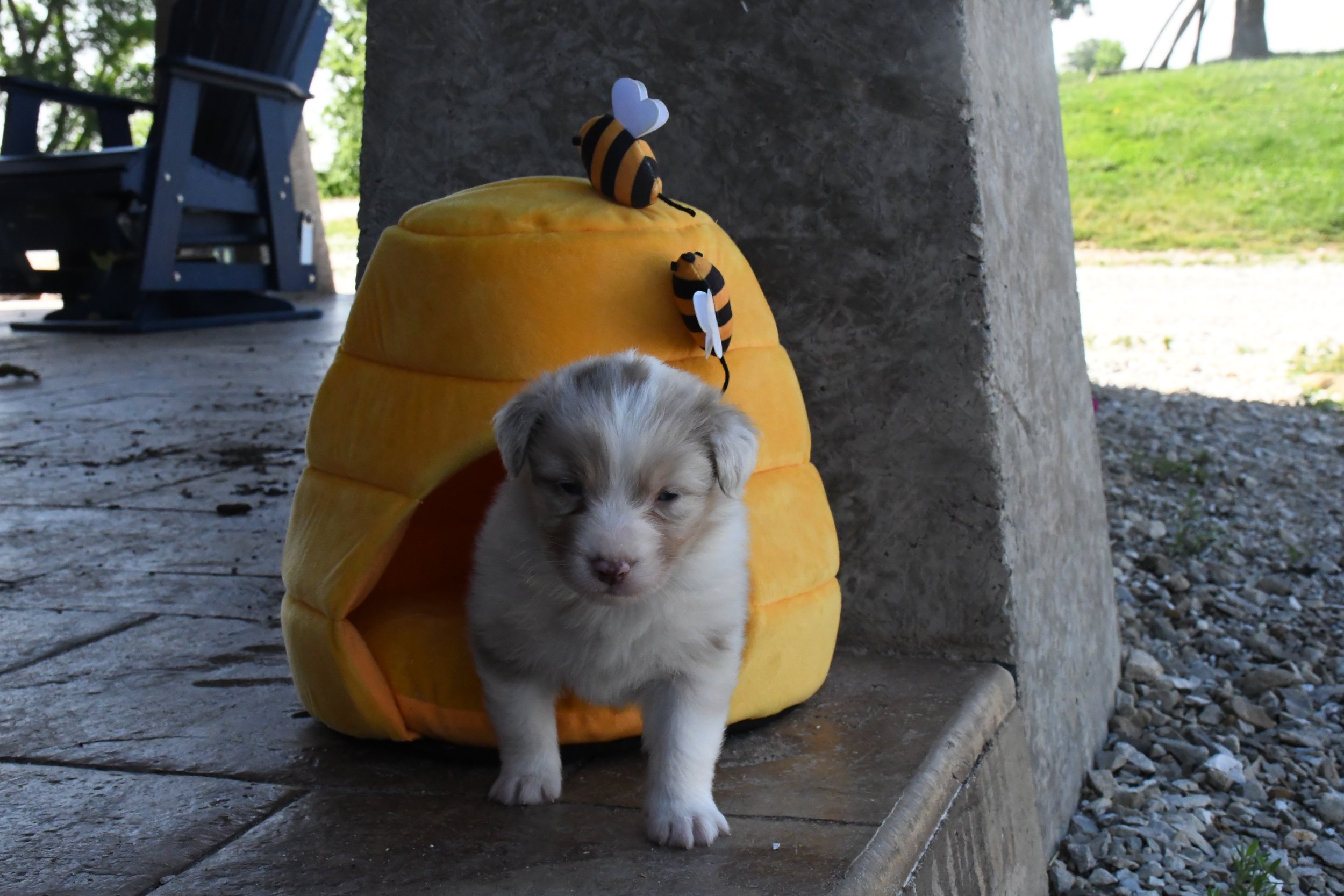 DSC_3582.JPG