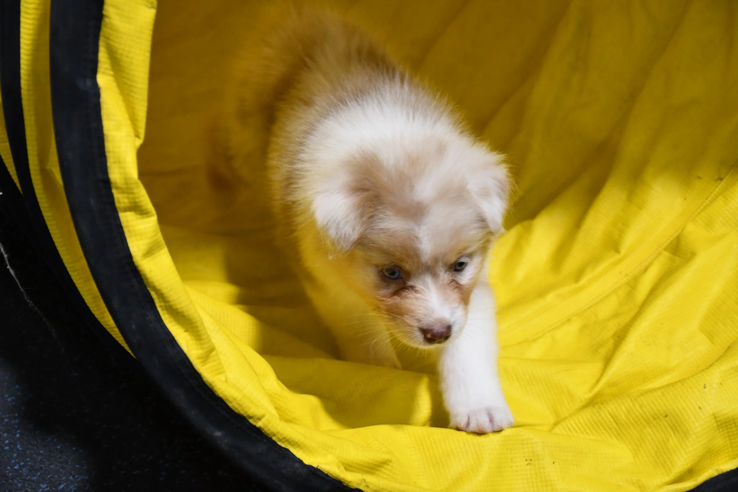 DSC_4713.JPG