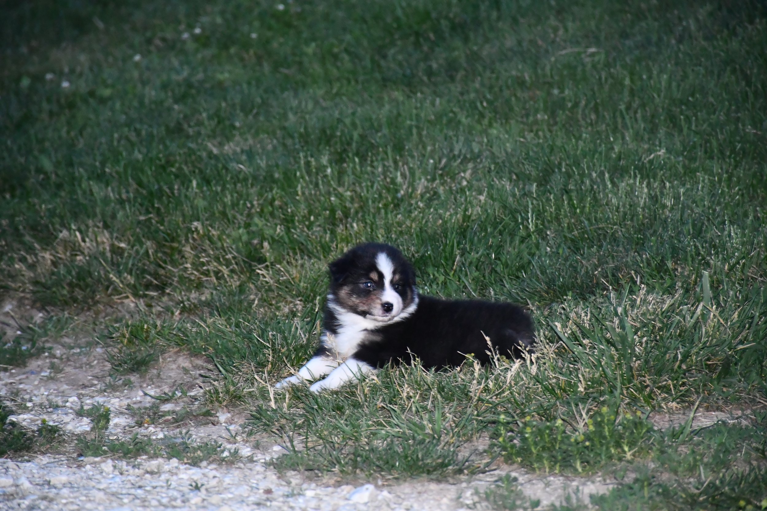 DSC_3957.JPG