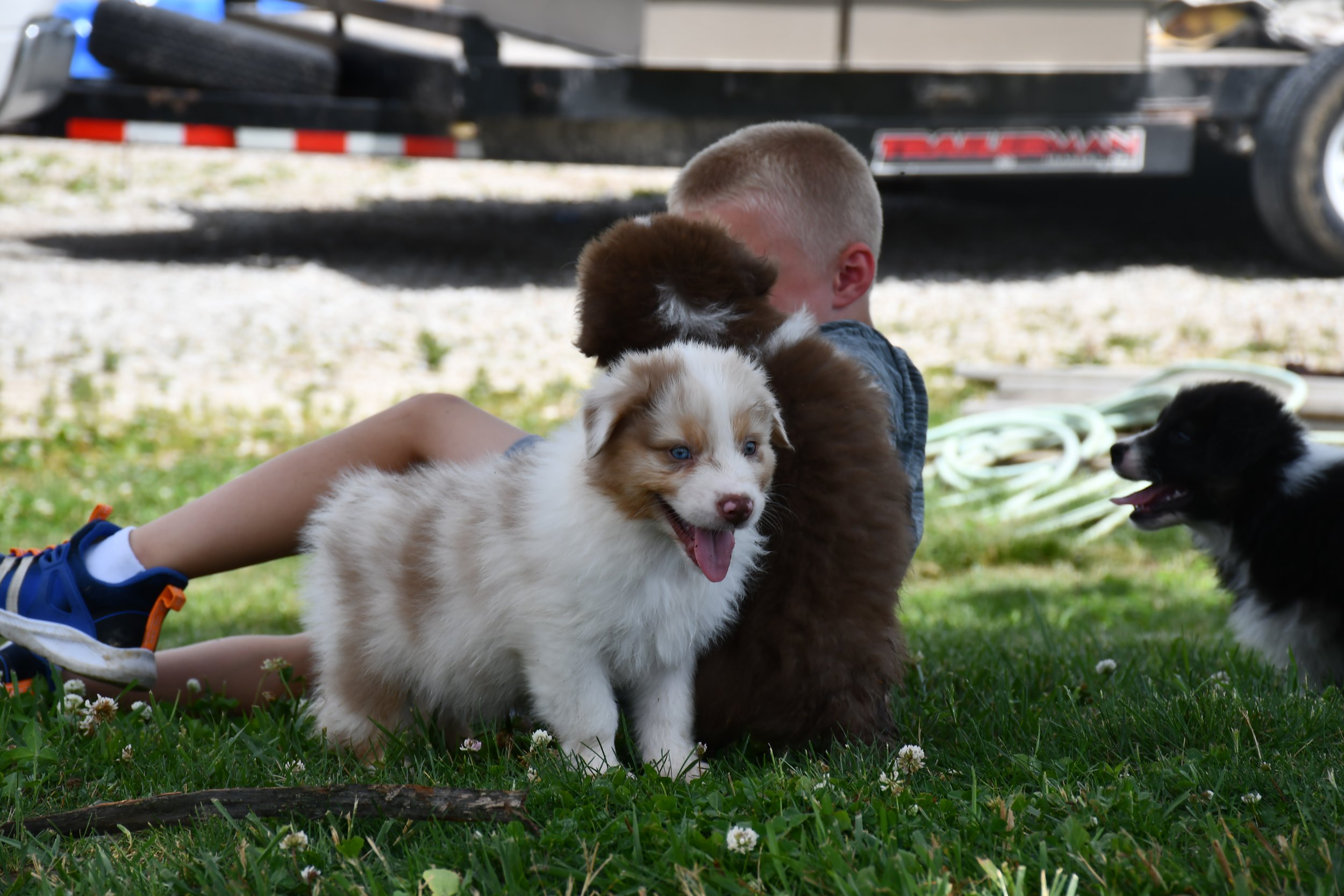 DSC_4573.JPG