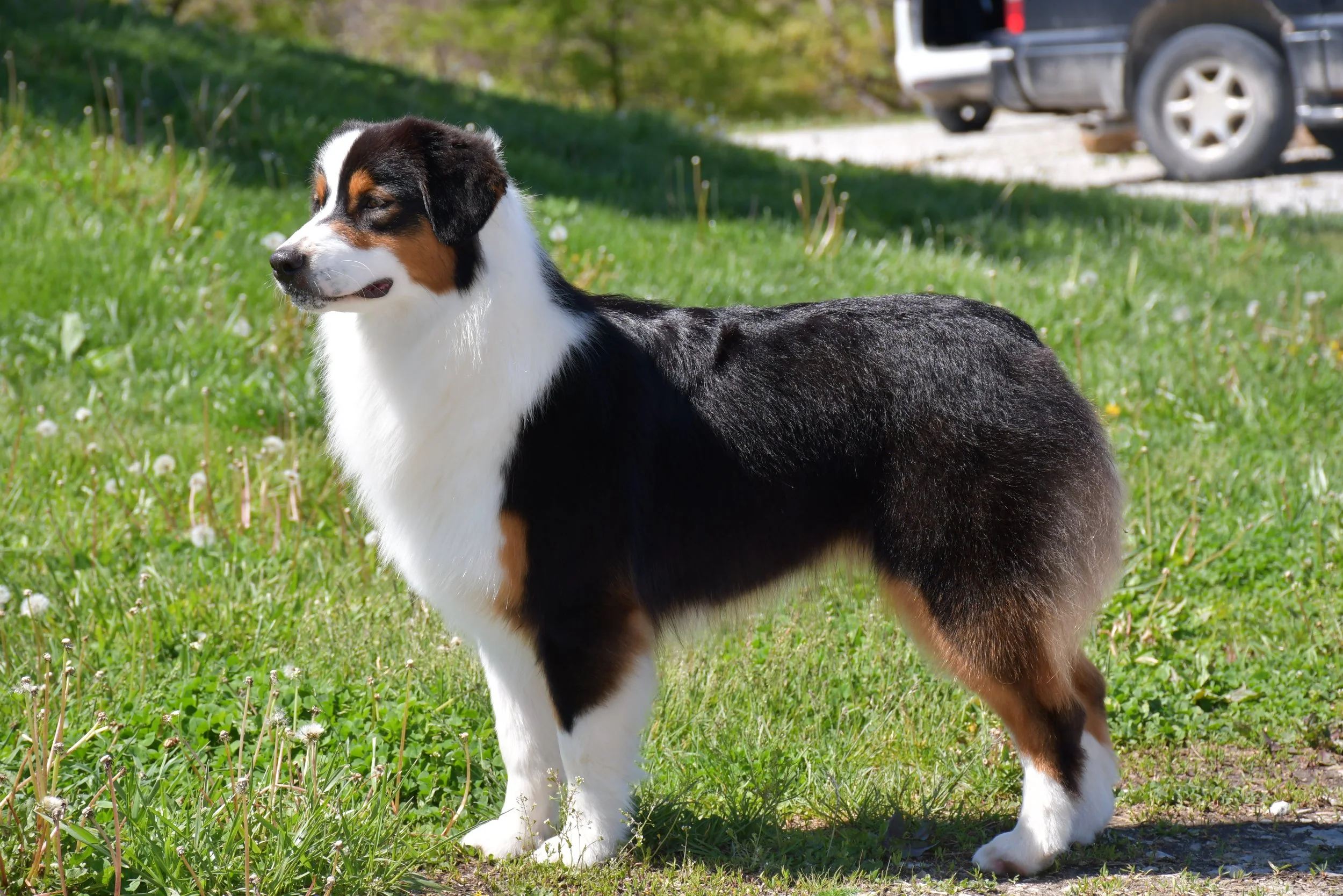 DSC_2523.JPG