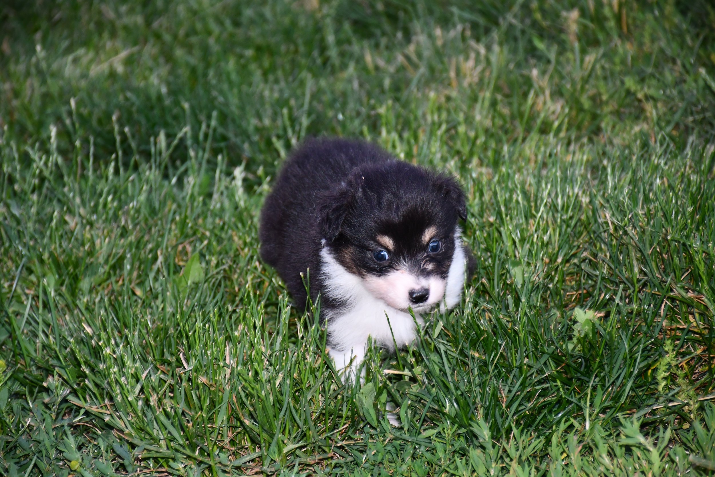 DSC_3855.JPG
