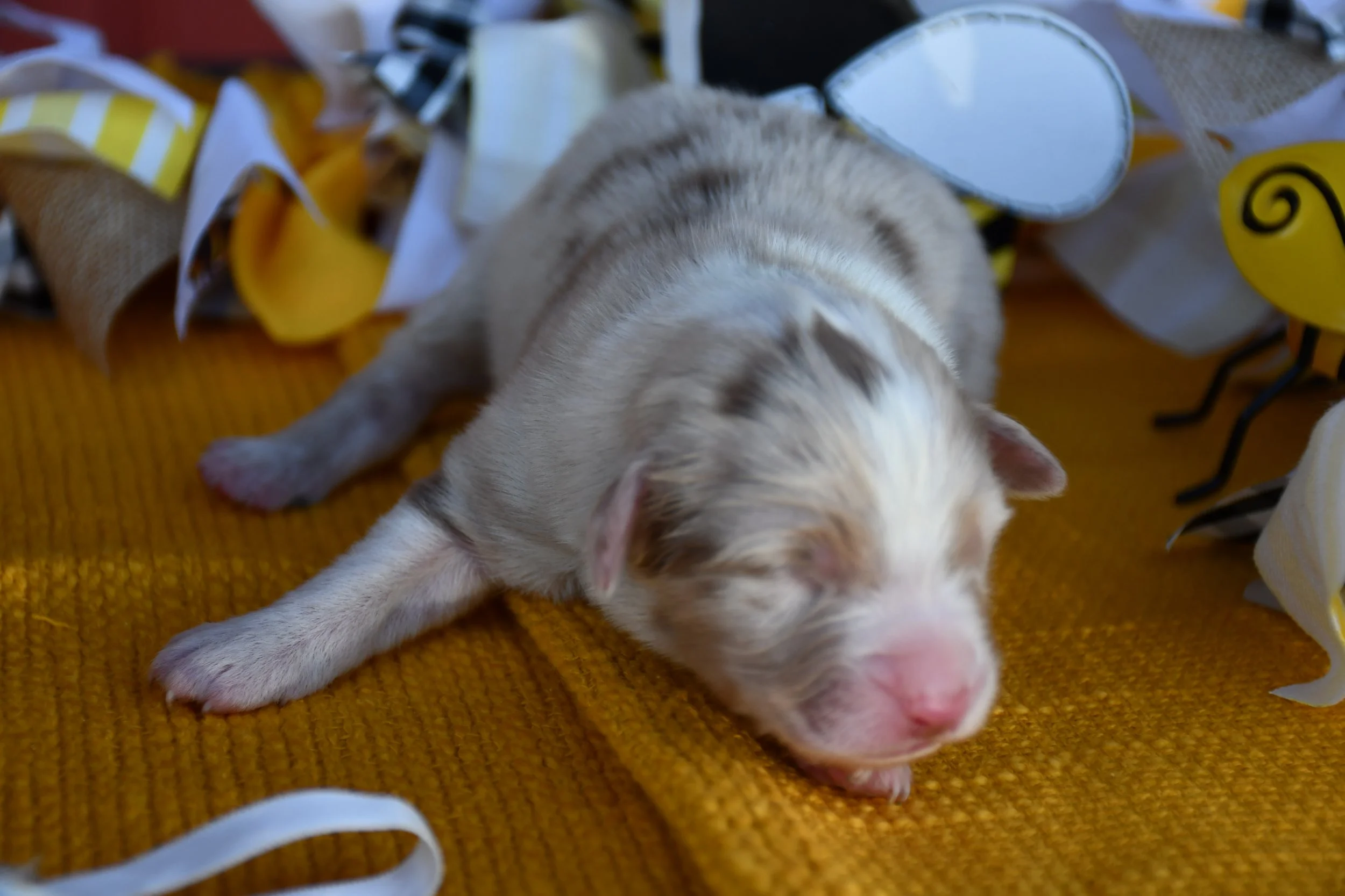DSC_2536.JPG