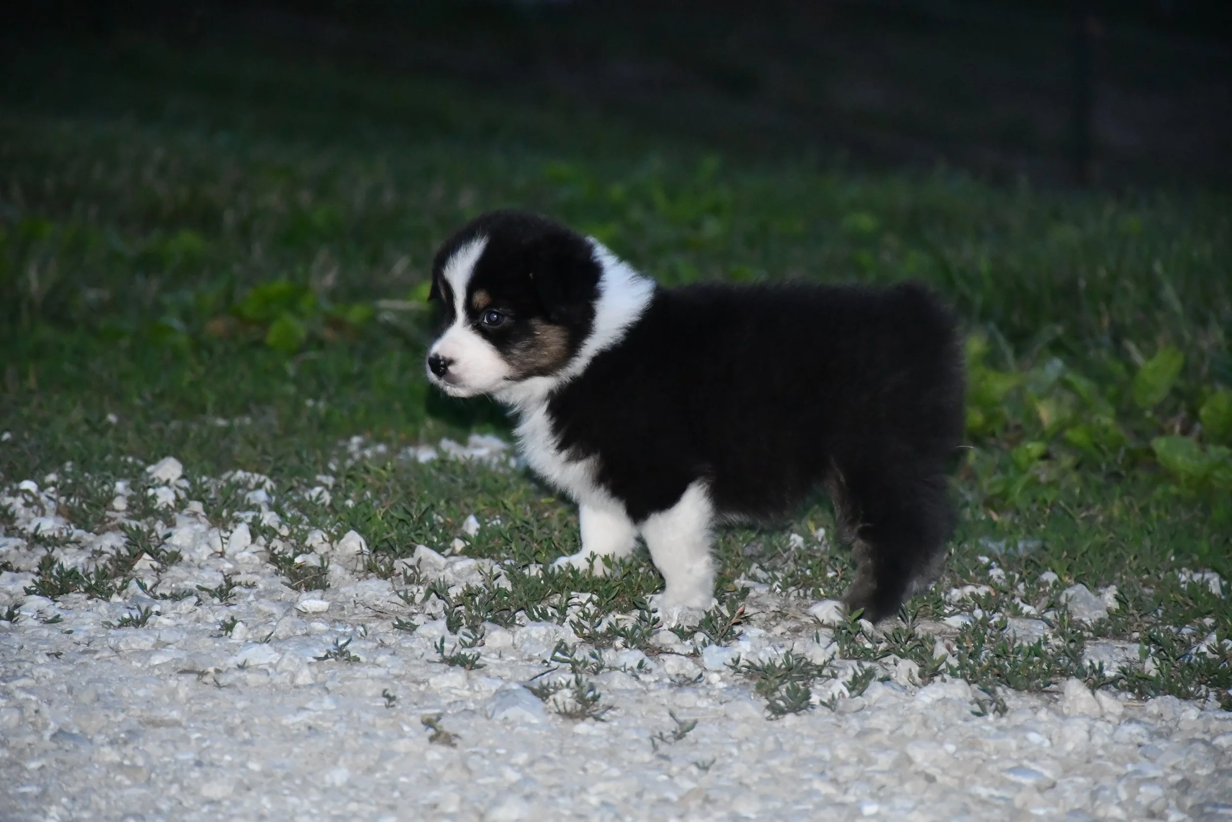 DSC_3966.JPG