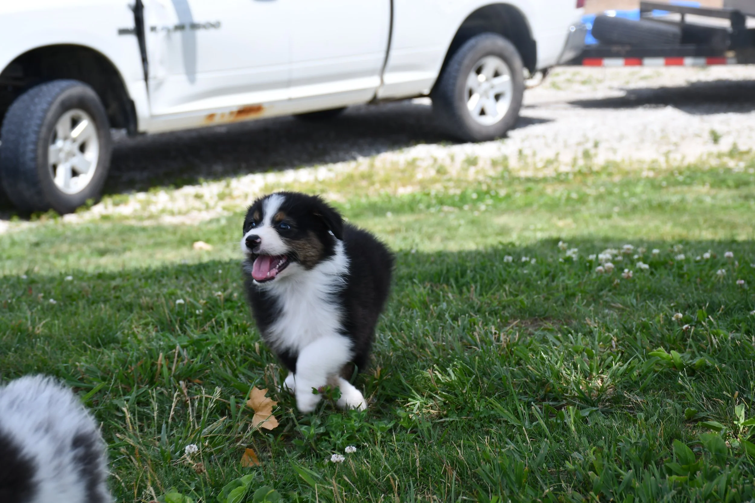 DSC_4459.JPG