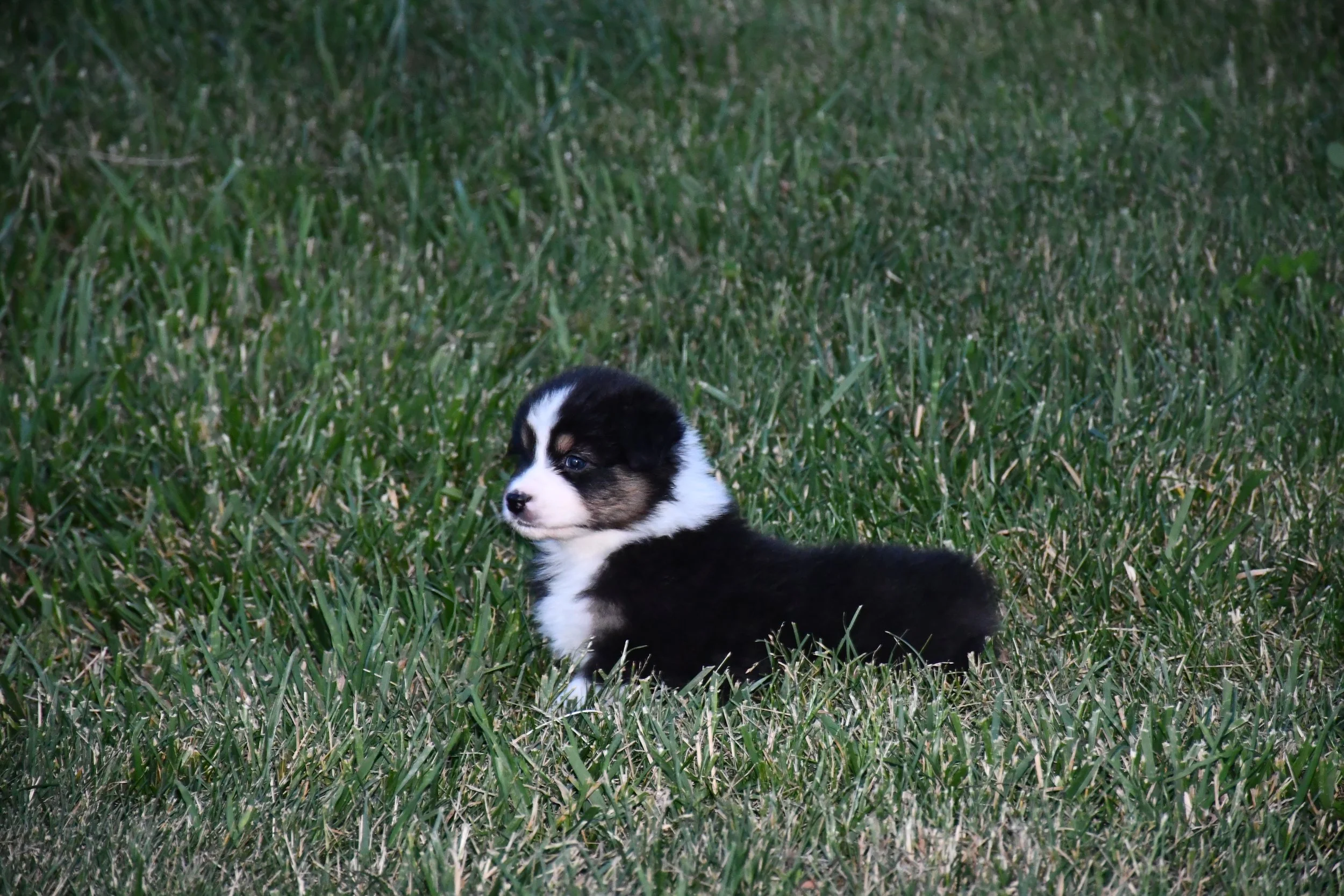 DSC_3945.JPG