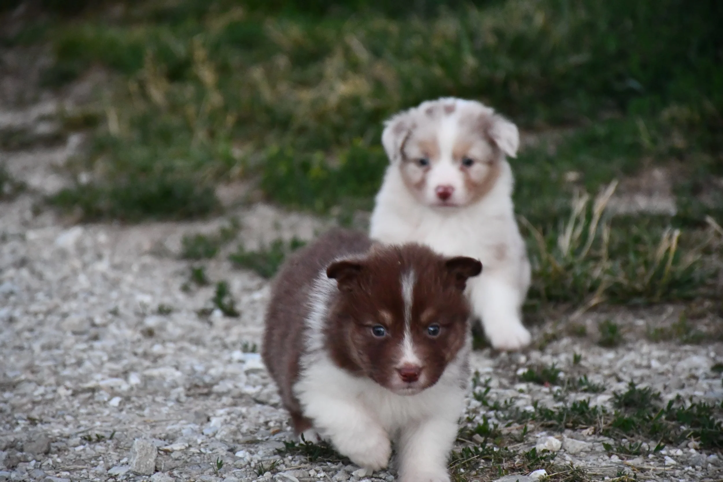 DSC_3892.JPG