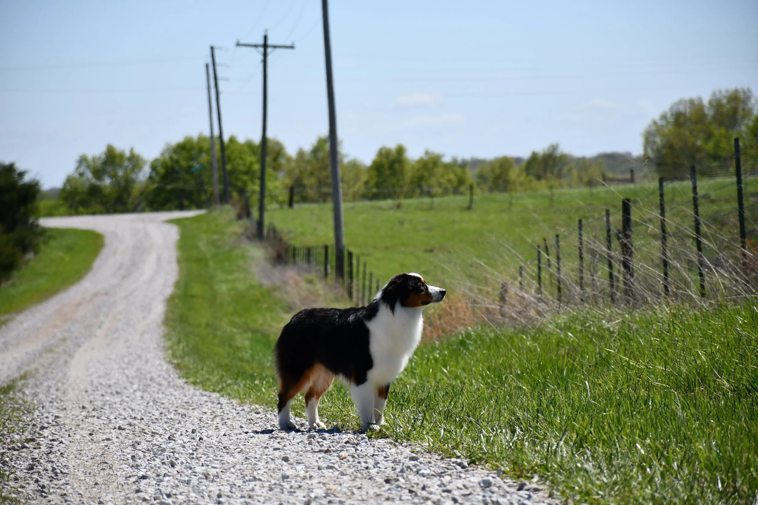 DSC_2477.JPG