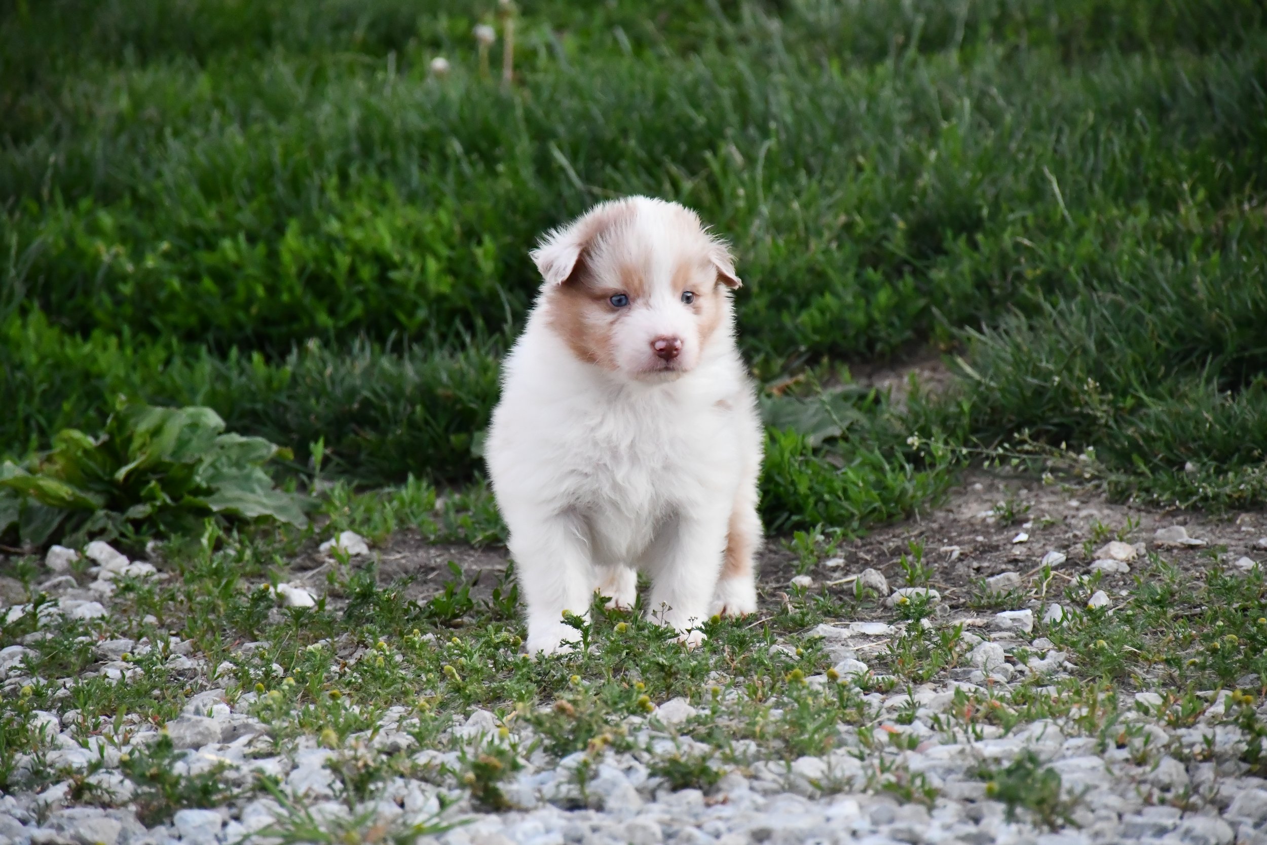 DSC_3813.JPG