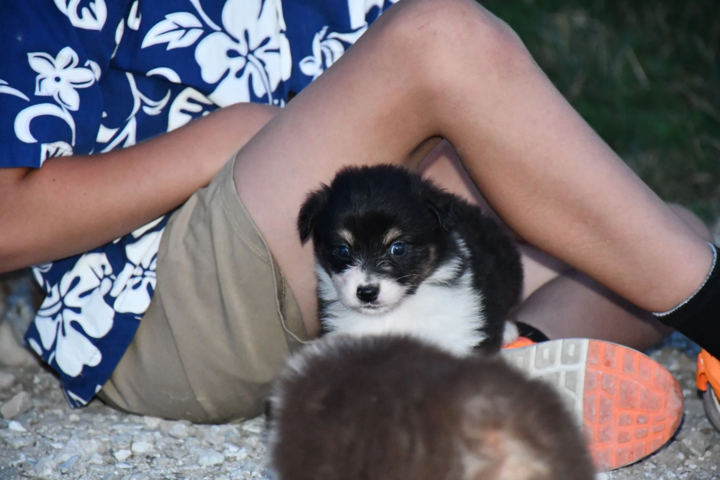 DSC_3959.JPG