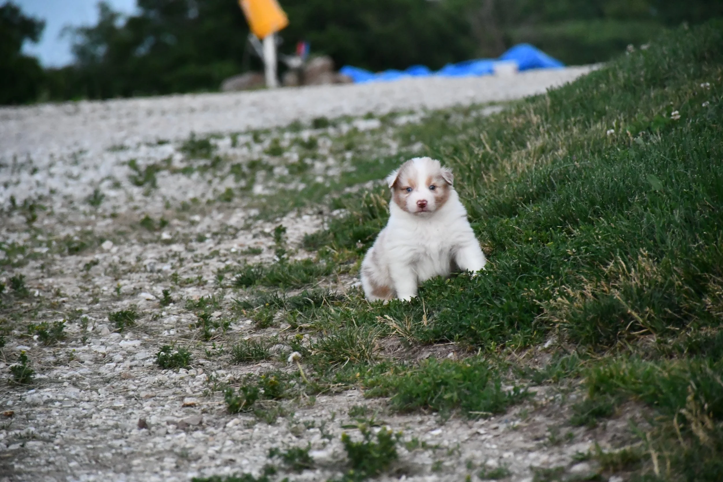 DSC_3896.JPG