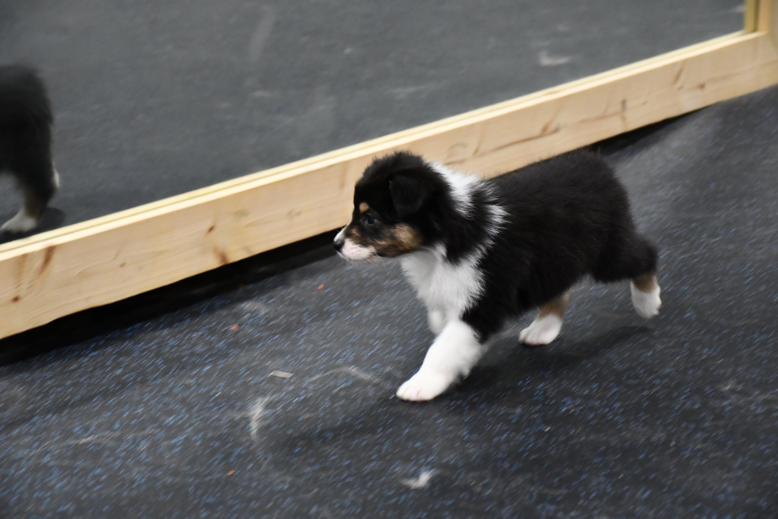 DSC_4687.JPG