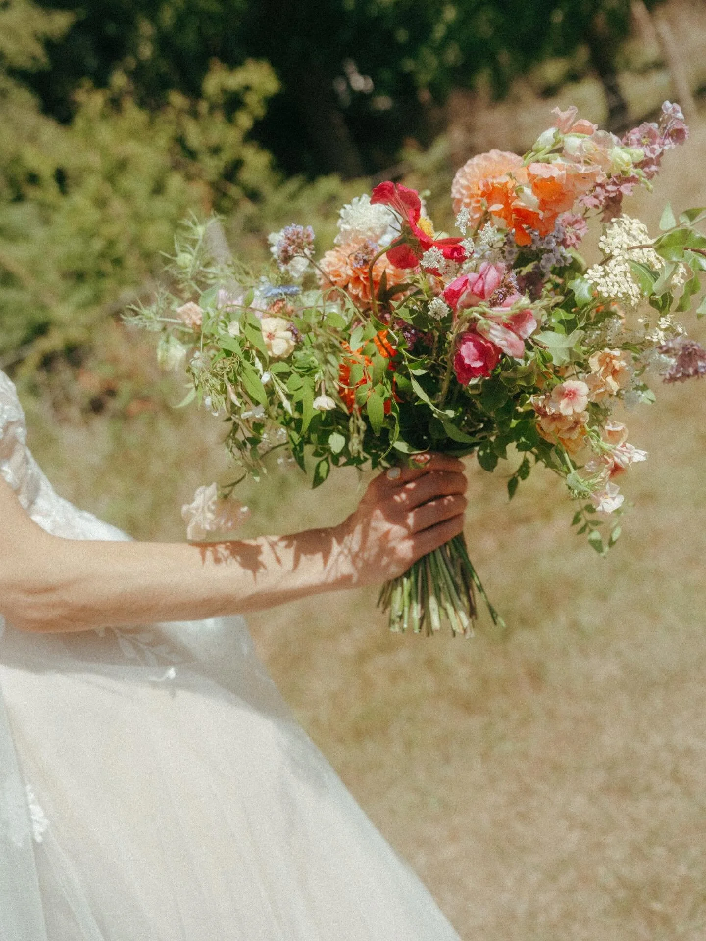 Oh the way the weather today in the UK feels like spring finally coming into bloom 💐