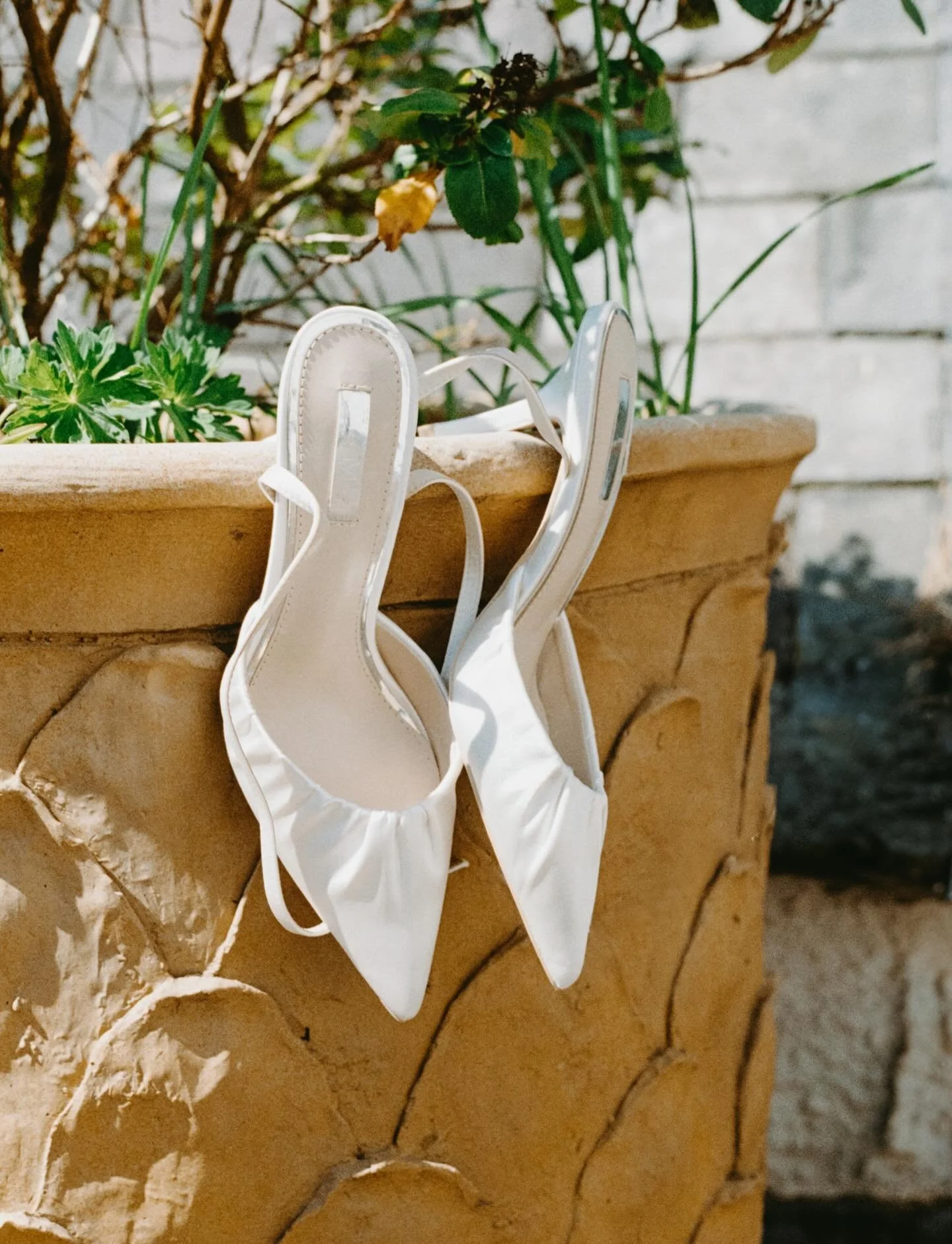Wedding shoes randomly hanging on things like taps (or terracotta pots) has always really made me laugh because it&rsquo;s just so unnatural, but god it makes a lovely photo doesn&rsquo;t it?

On film 🧡