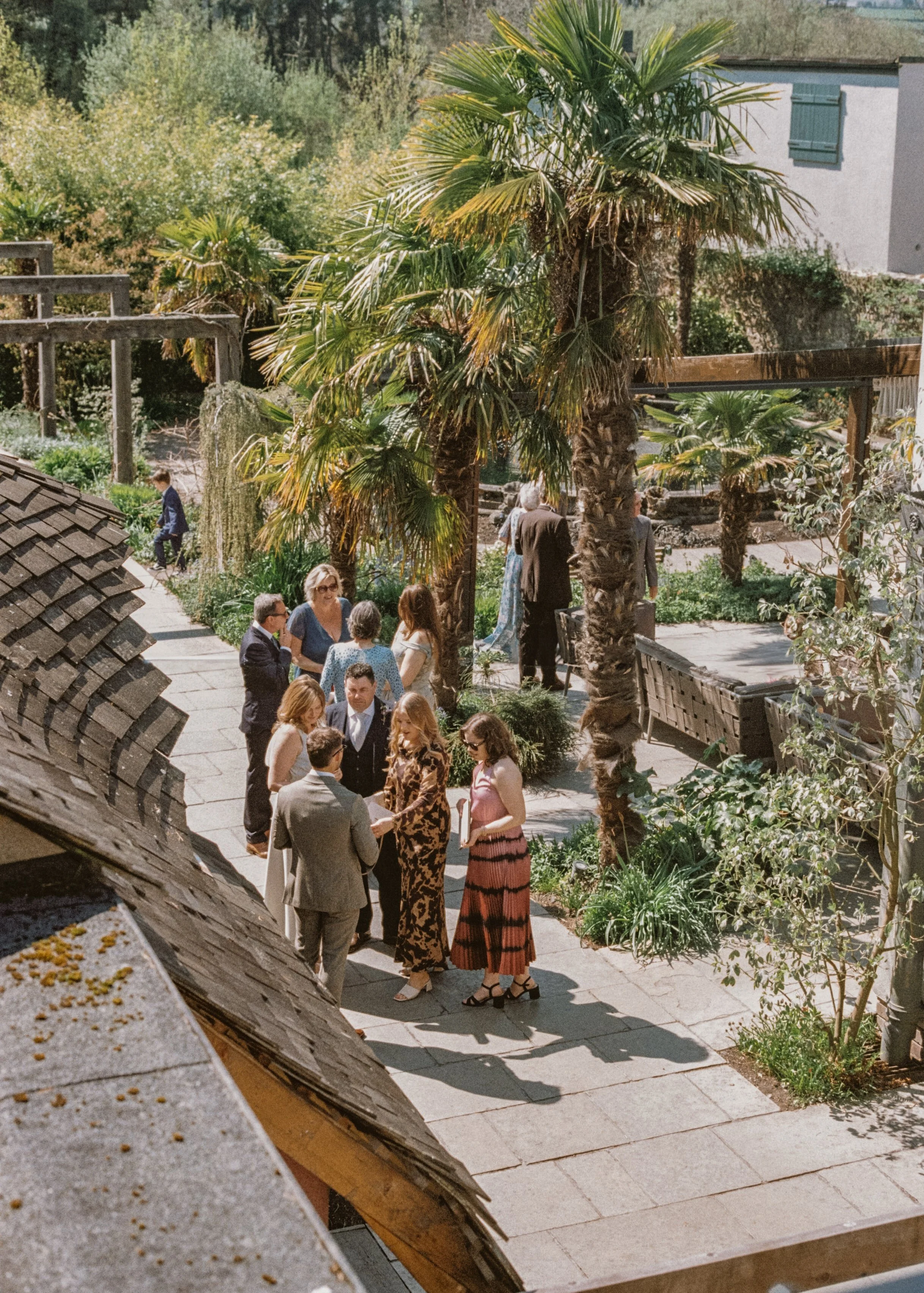 People gathered outdoors in a garden-like setting with palm trees, engaged in conversation. There's a tiled walkway, wooden fences, a building with blue shutters in the background, and a roof in the foreground.