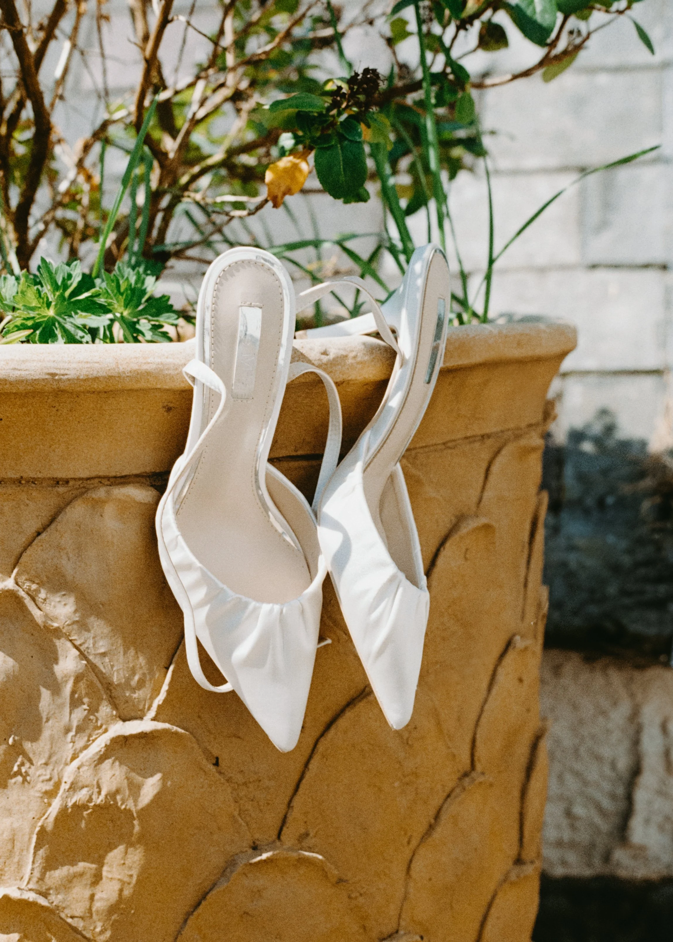 A pair of white pointed-toe high-heeled shoes hanging on the edge of a stone or clay flower pot with green plants inside, outdoors.
