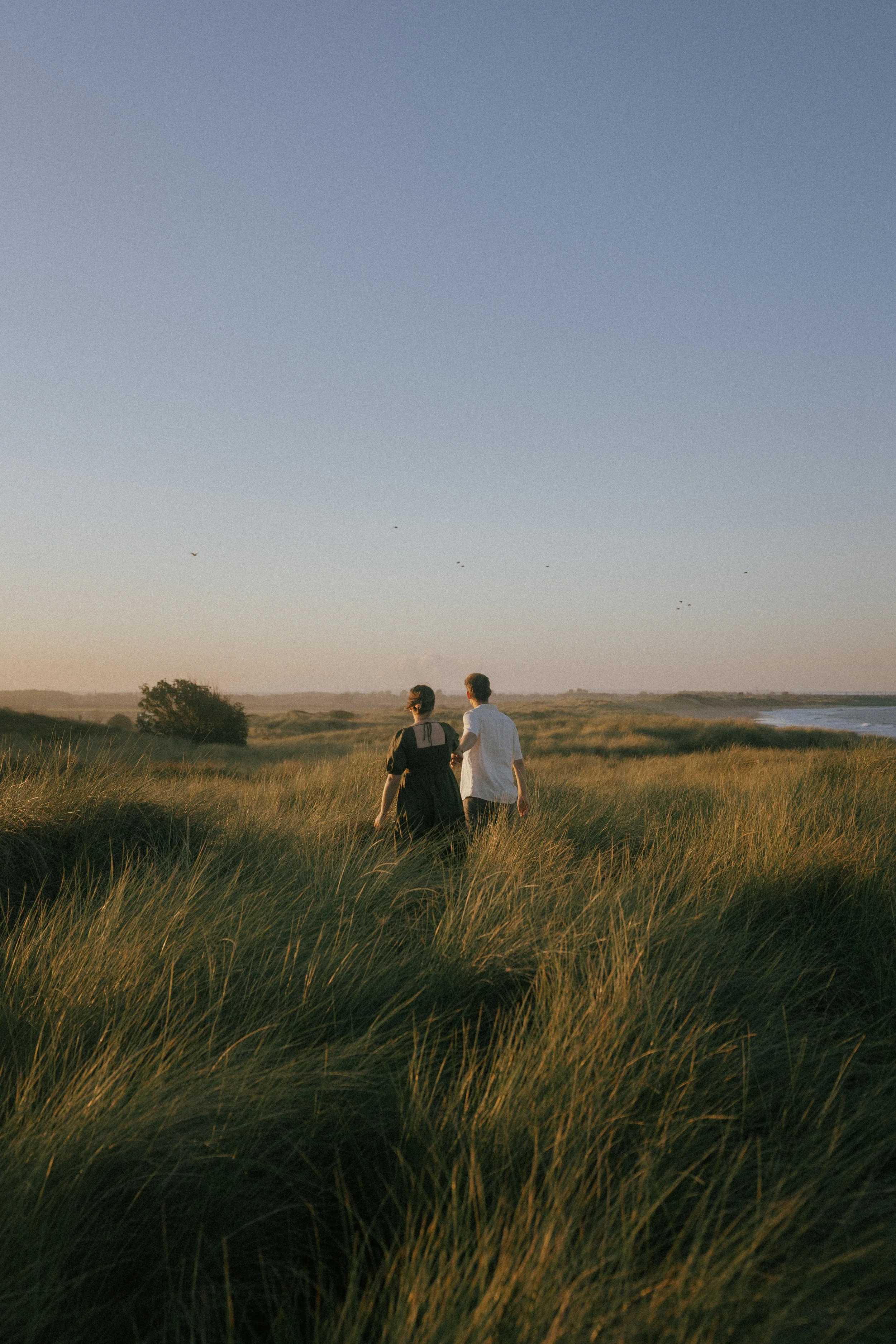 Two people walking through a grassy field near the coast during sunset, with a clear sky and birds flying overhead.