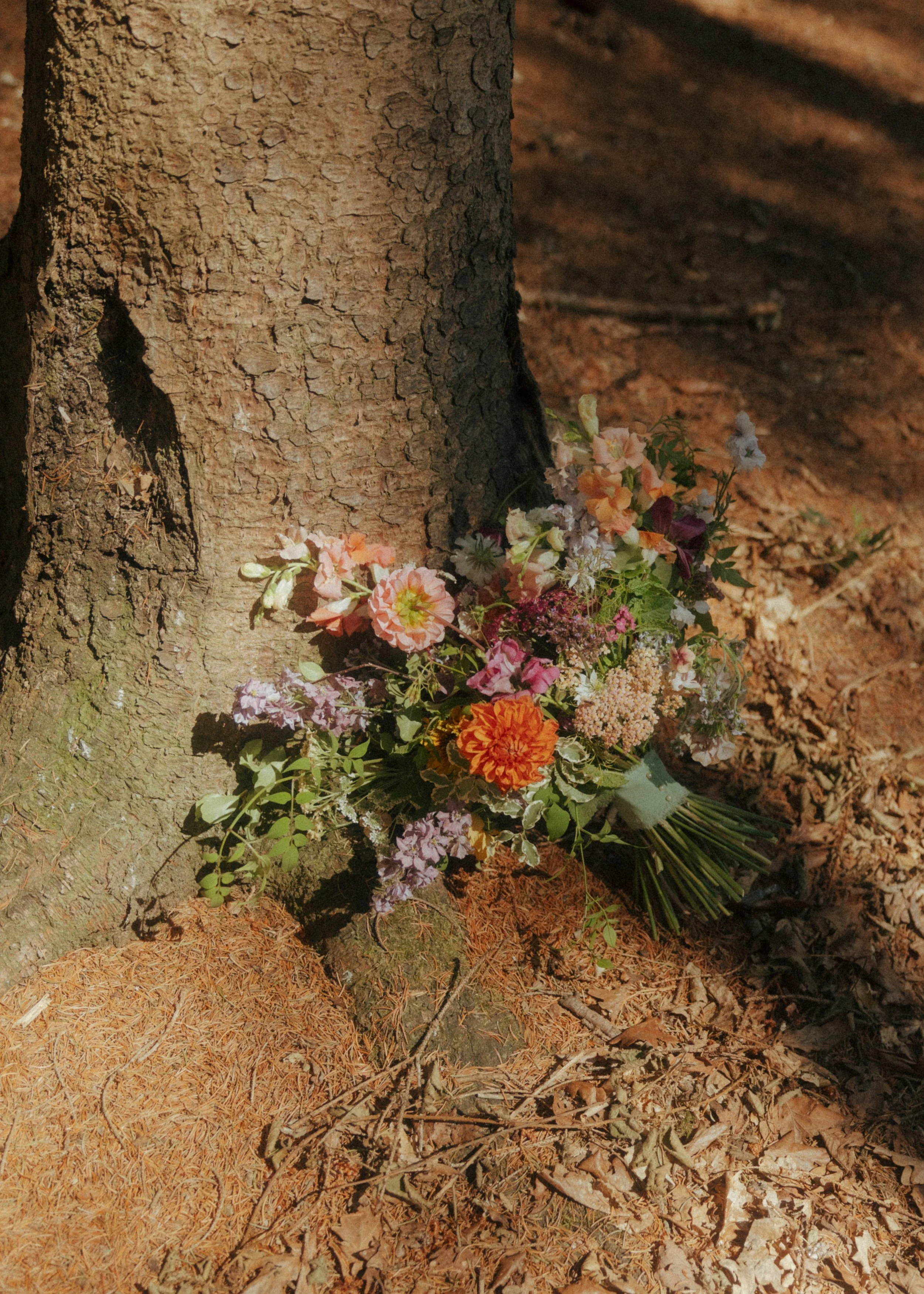 A flower bouquet resting against the trunk of a tree on woodland ground covered with pine needles and dried leaves.