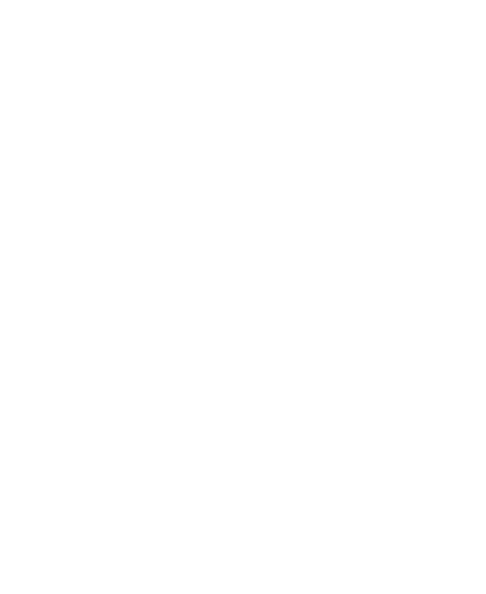 Bearly Consulting