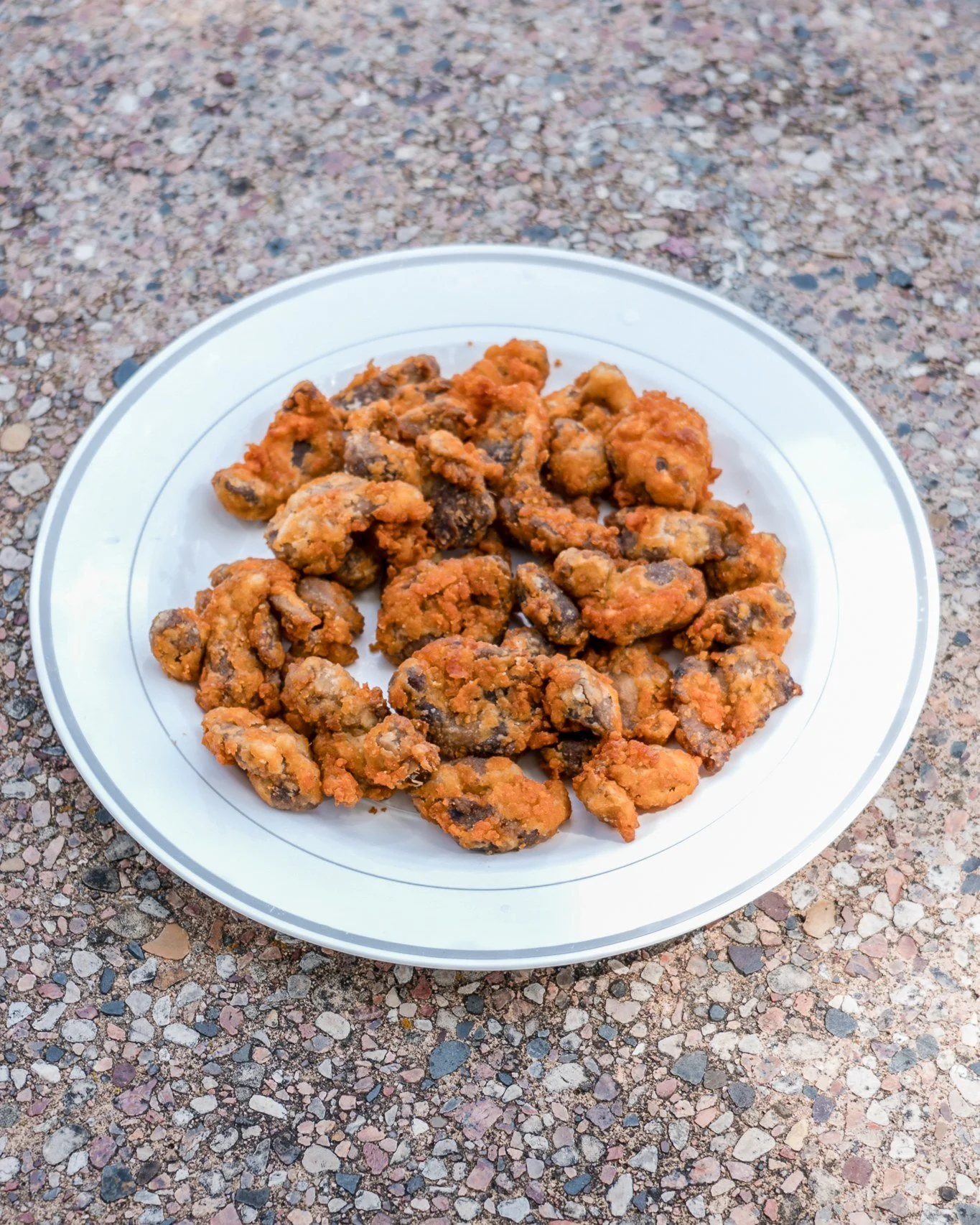 Our gizzards have been a Lakeland favorite since '83. Today, it's still the same recipe that keep our gizzard lovers coming from near and far. Stop in today for a bite of tradition.🍗