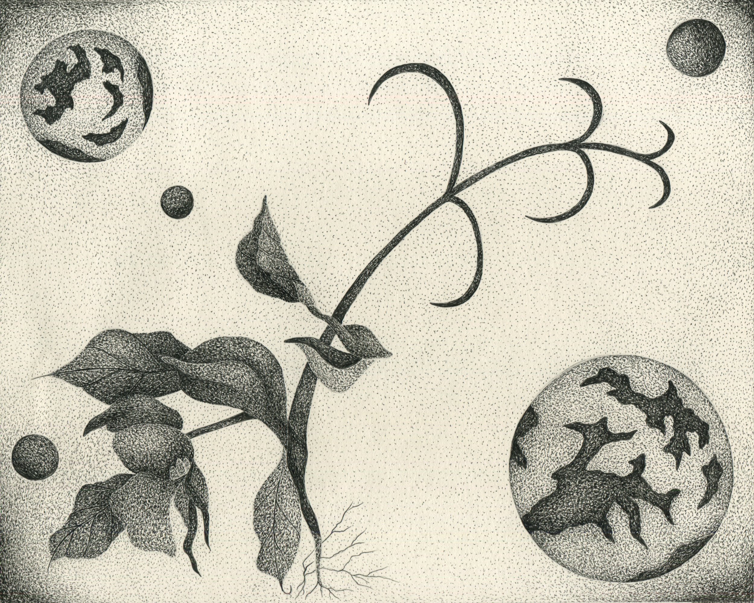 Emergence: Reflections on a Pea Pod and the Art of Becoming