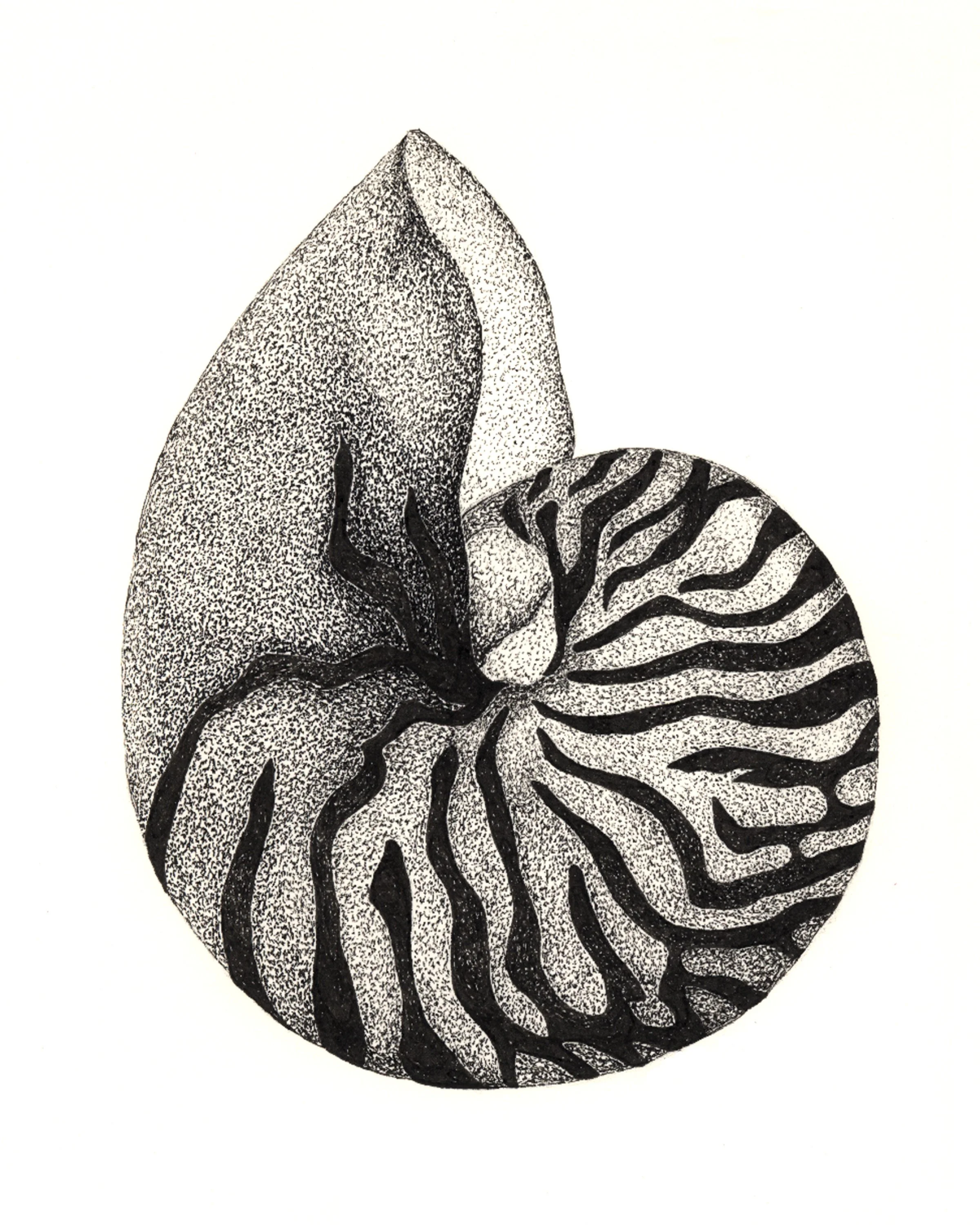 With Each Curve: Geometry, Growth, and the Shape of Becoming