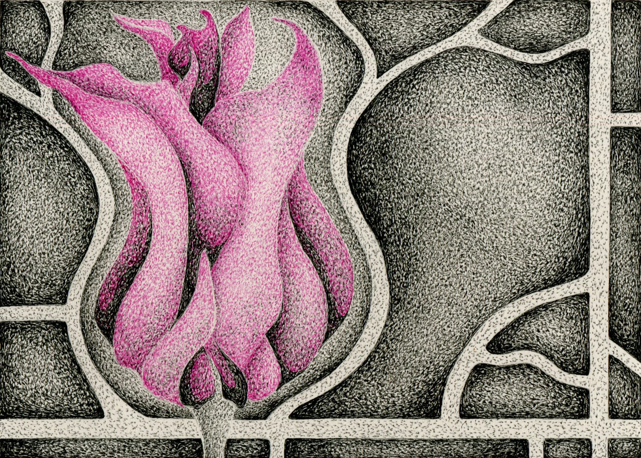 Seeing Beauty Differently: Abstraction, Color, and the Power of Design Strategies