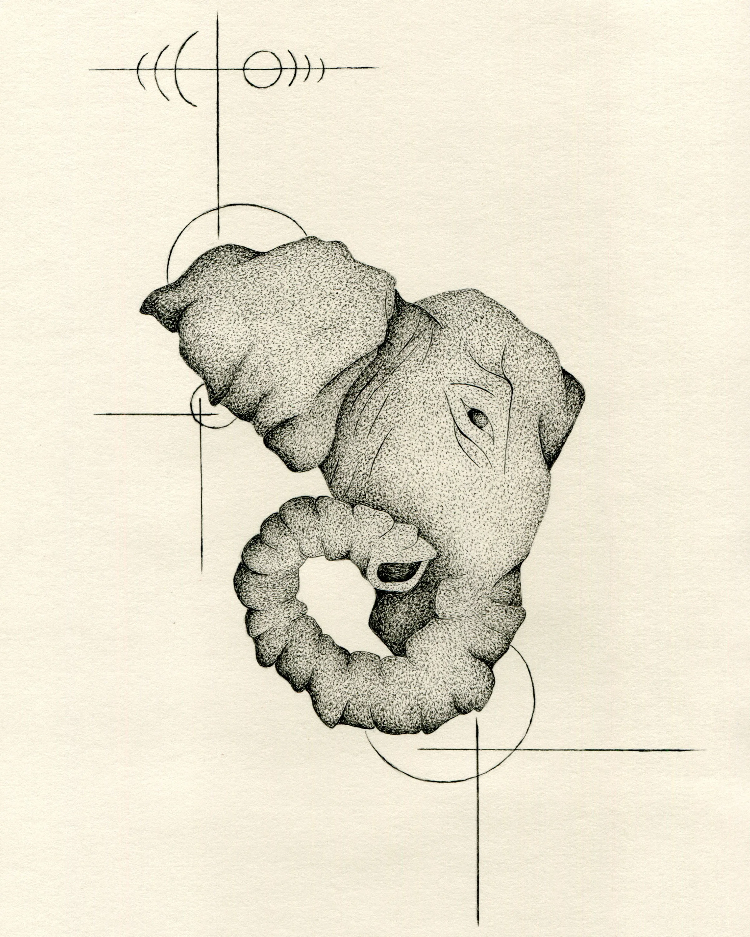 Cultivating Wisdom Through Openness
