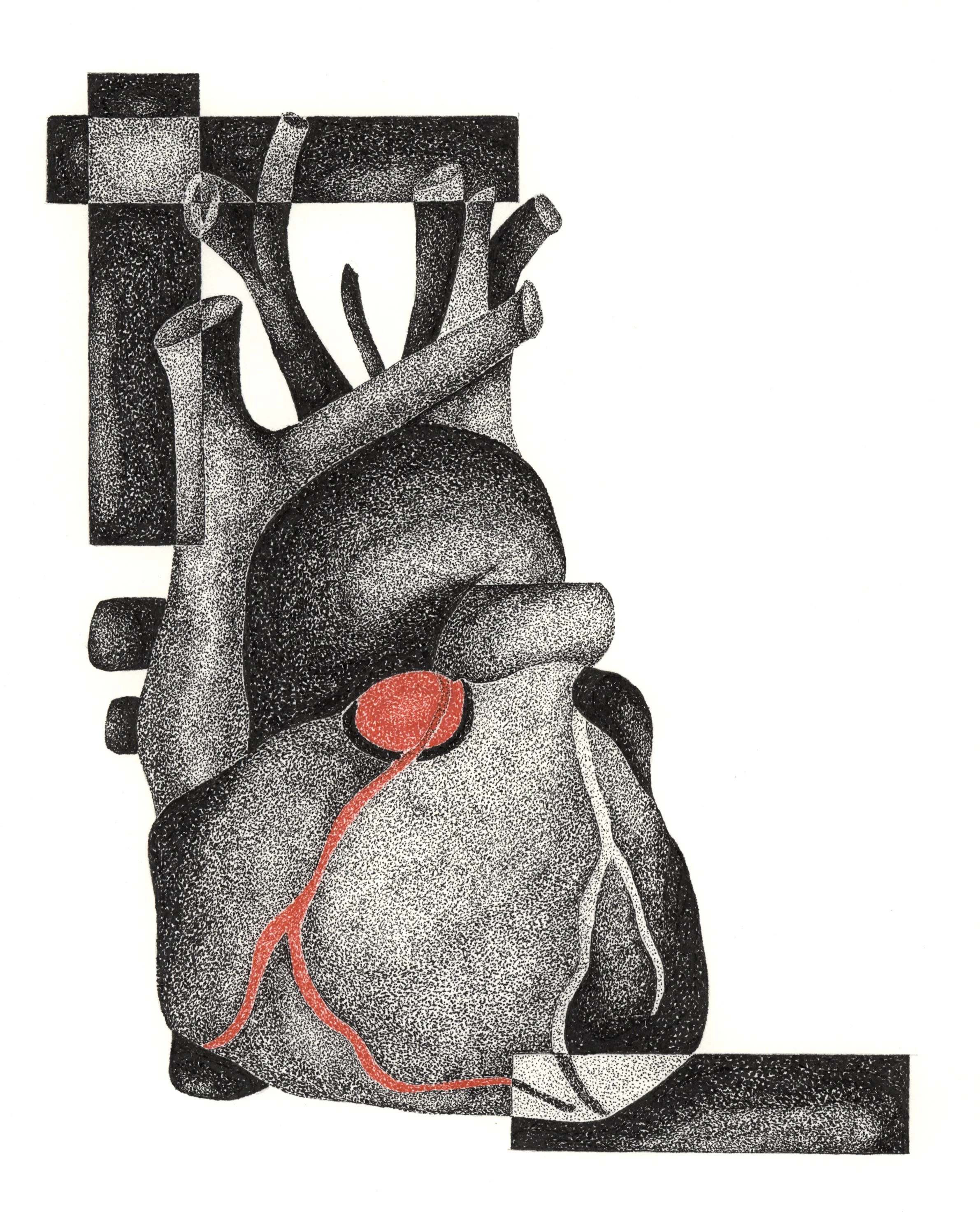 Where Precision Meets Vulnerability, And Our Shared Anatomy