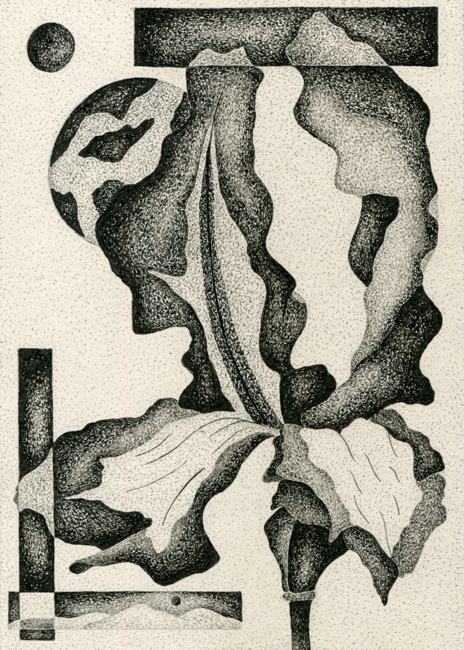 Pen and ink contemporary fine art by Doug Ashby. Abstract flower black and white minimalist drawing.