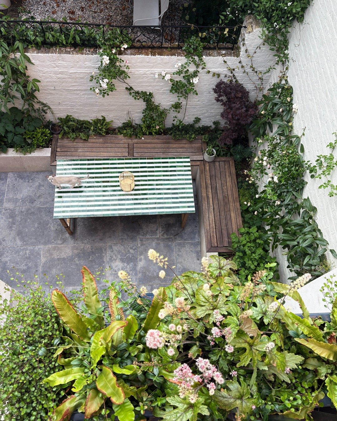 One of three special spaces we designed for our clients in Stoke Newington. This courtyard used to be full of roses and was well lived in before the extension happened, so our aim was to get it back to where it was whilst elevating it even further! L