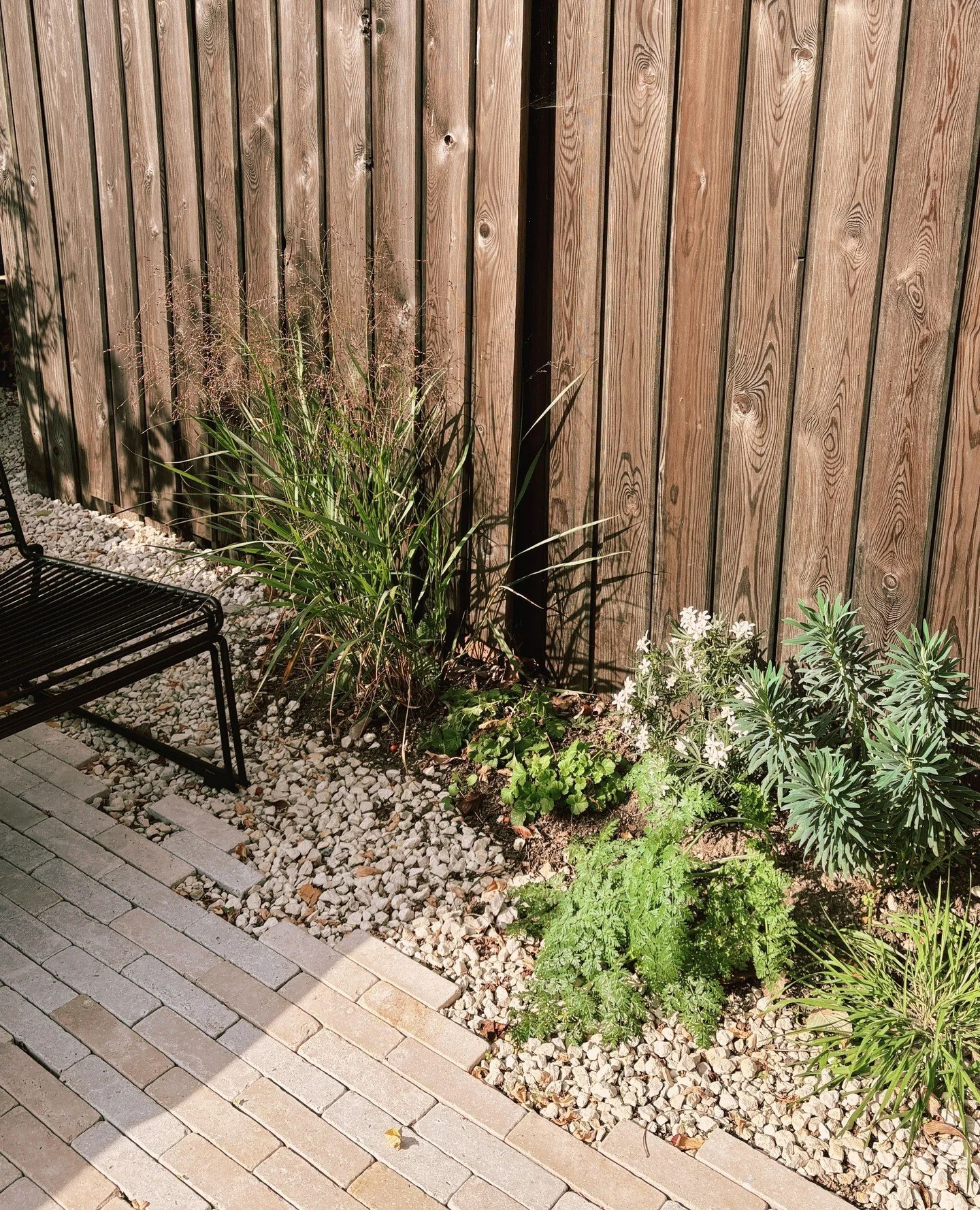 We love texture, and blending vertical planes with the ground plane with plants, to create softness in your garden 🌿