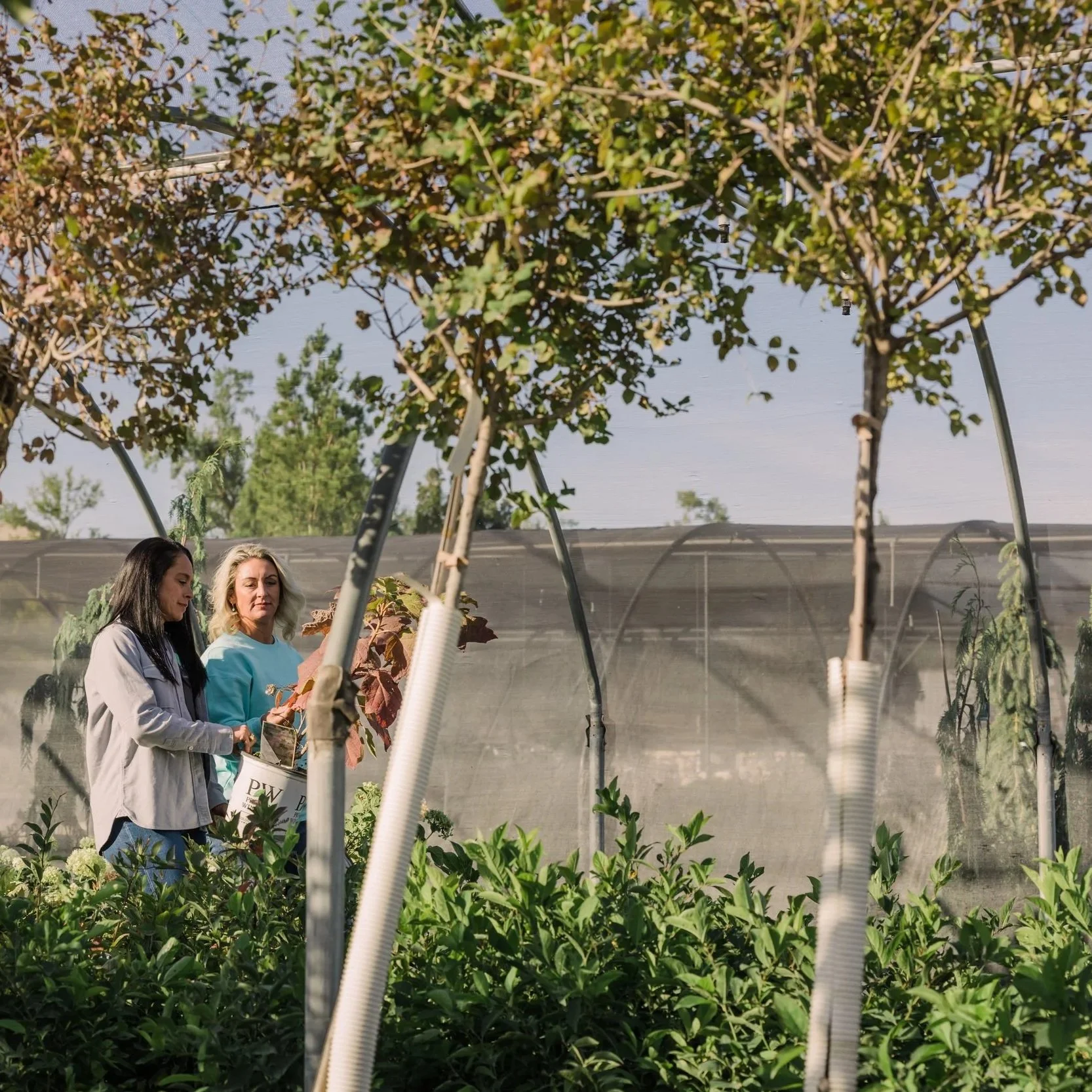 3 Things to Know Before Your Landscape Consultation