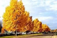 Why September is the Best Kept Secret