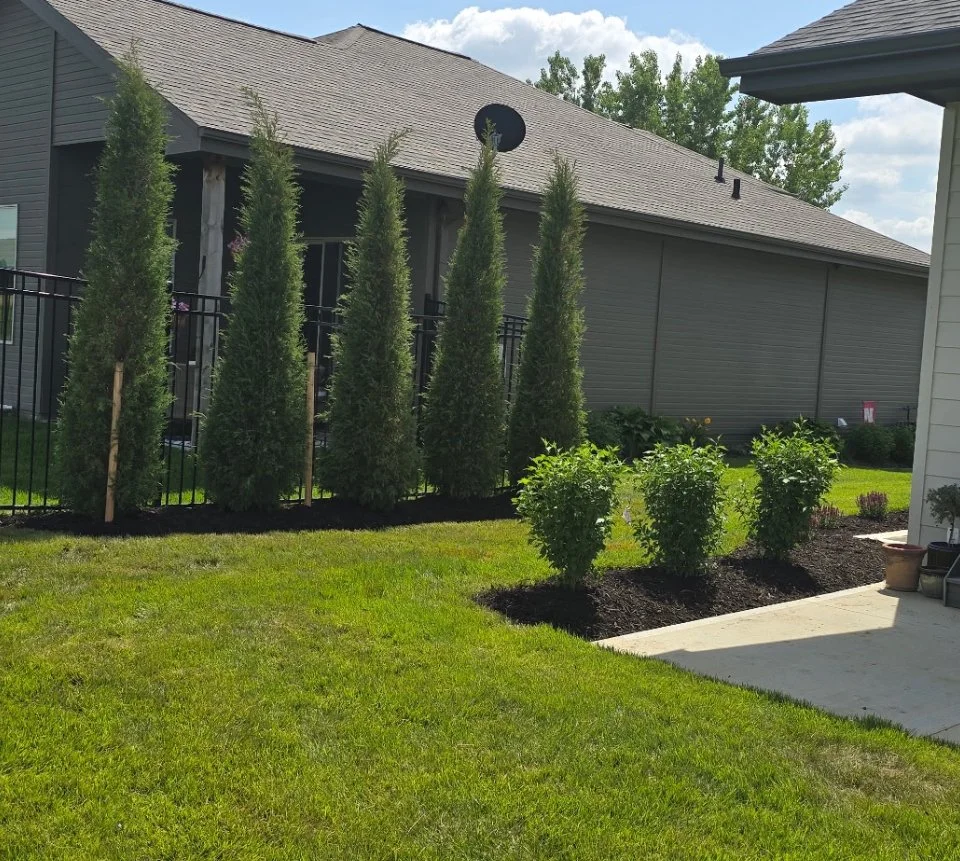 Copy of IMG_8087.jpg