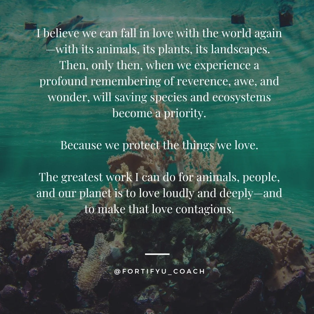 We are all searching for a love story&mdash;and there&rsquo;s one waiting for you, just outside your door.

It&rsquo;s time to fall in love with the world again. 

#earth #animals #nature #biophilia #humananimalbond #animalcare #mentalhealth #wellbei