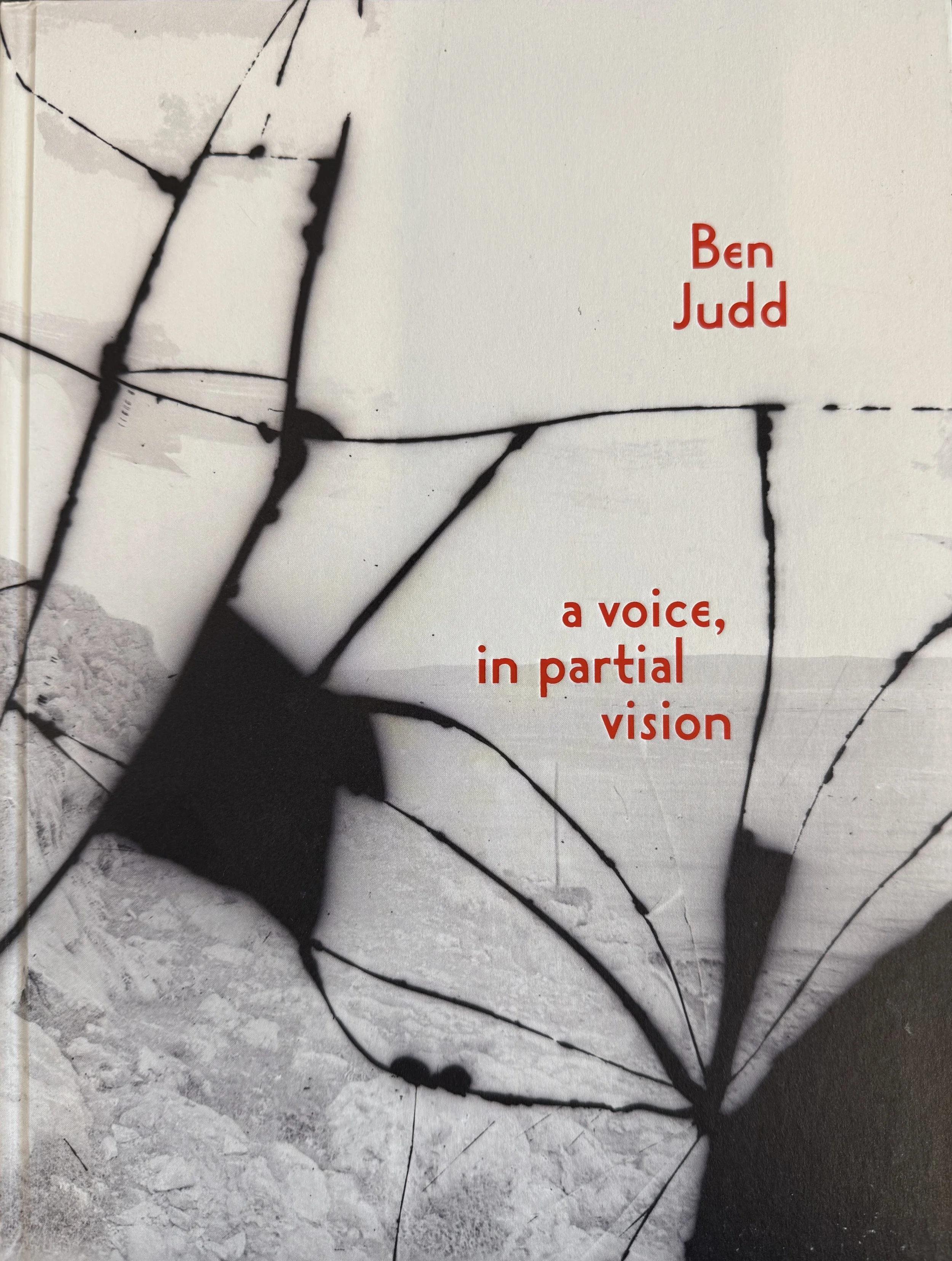 A Voice, In Partial Vision (2026)