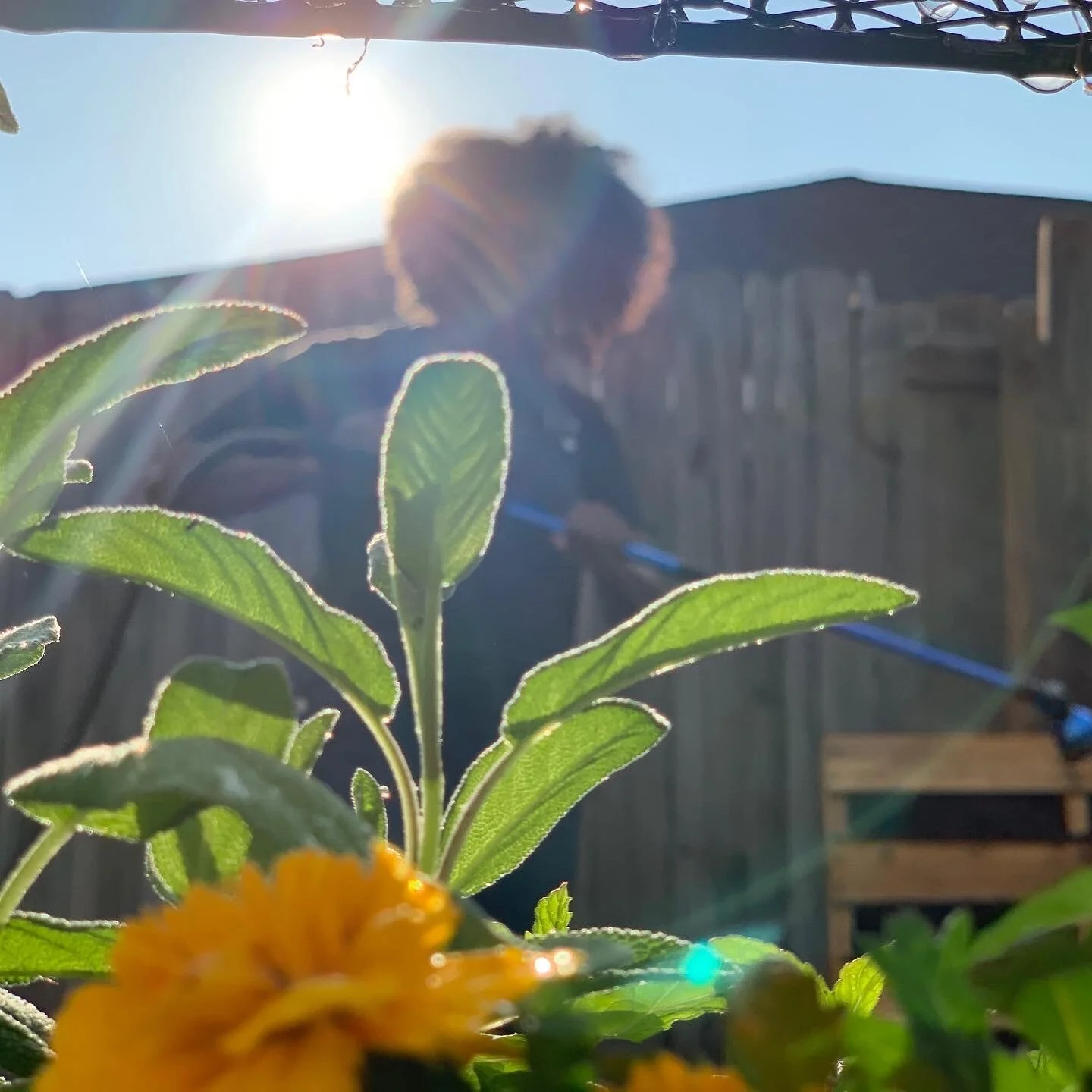 Gardening: My Perfect Stress Reliever