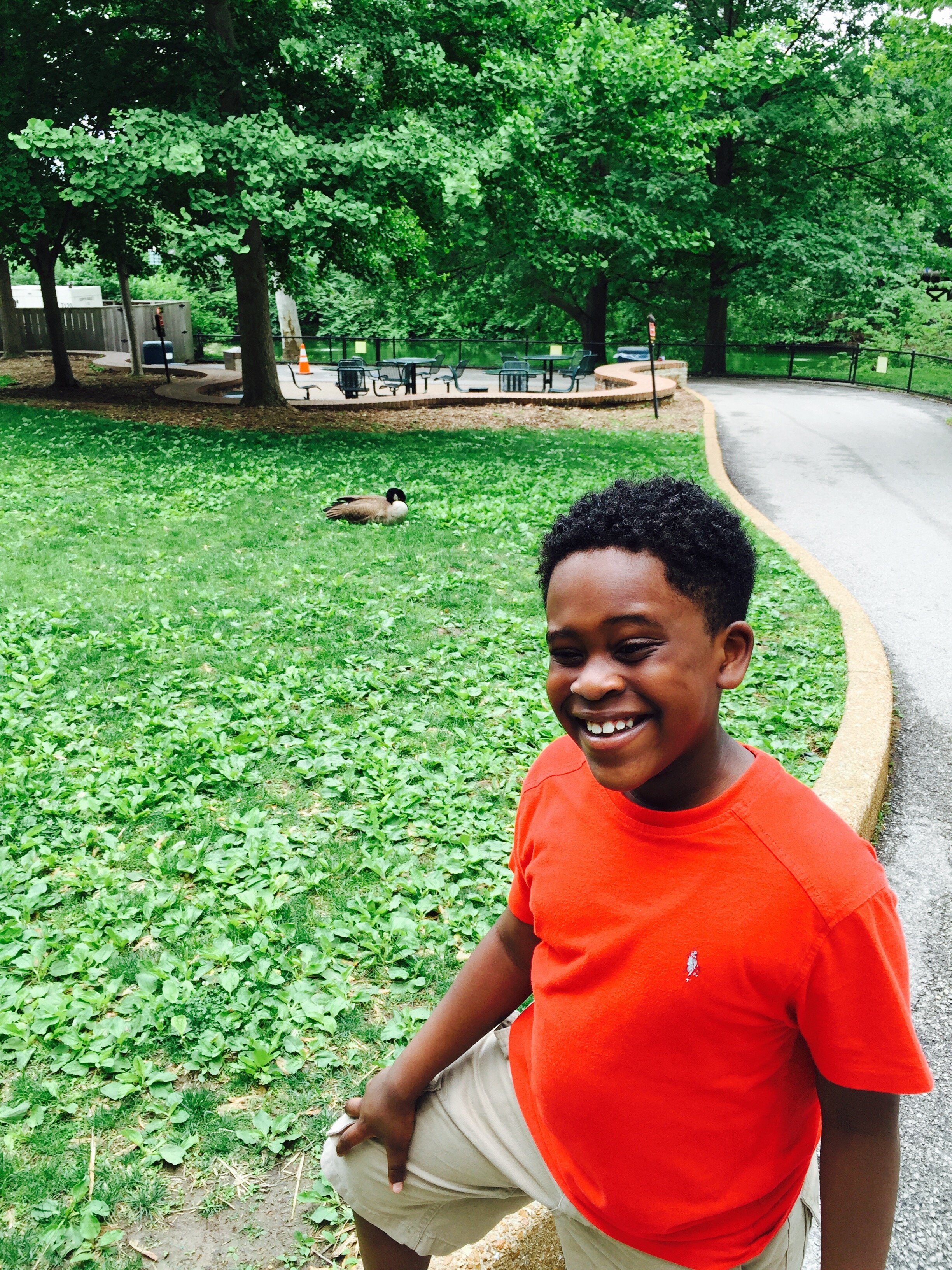 St Louis Zoo Duck Trilogy In Motion.JPG