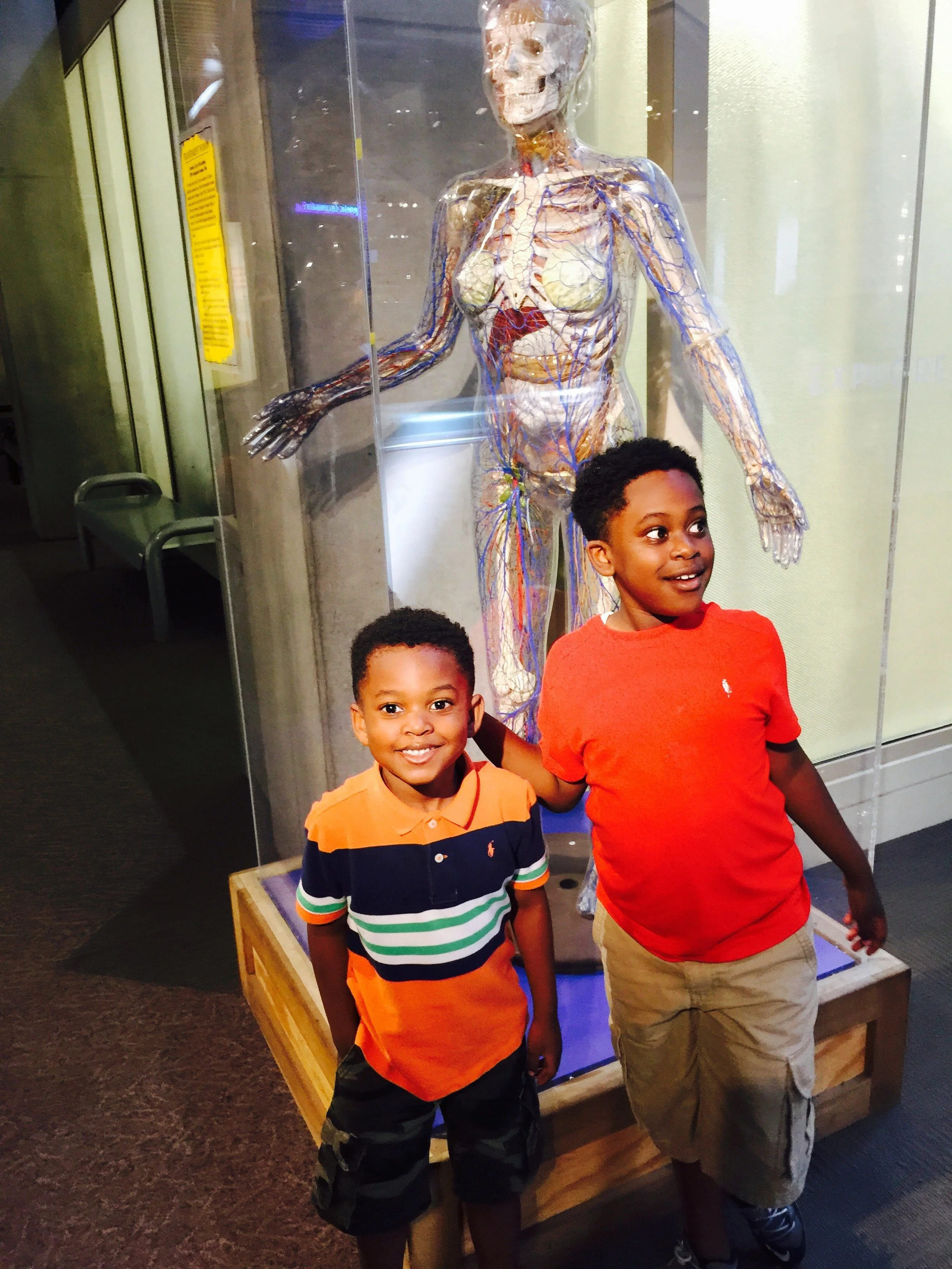 St Louis Science Center Anatomy Exhibit Trilogy in Motion.JPG