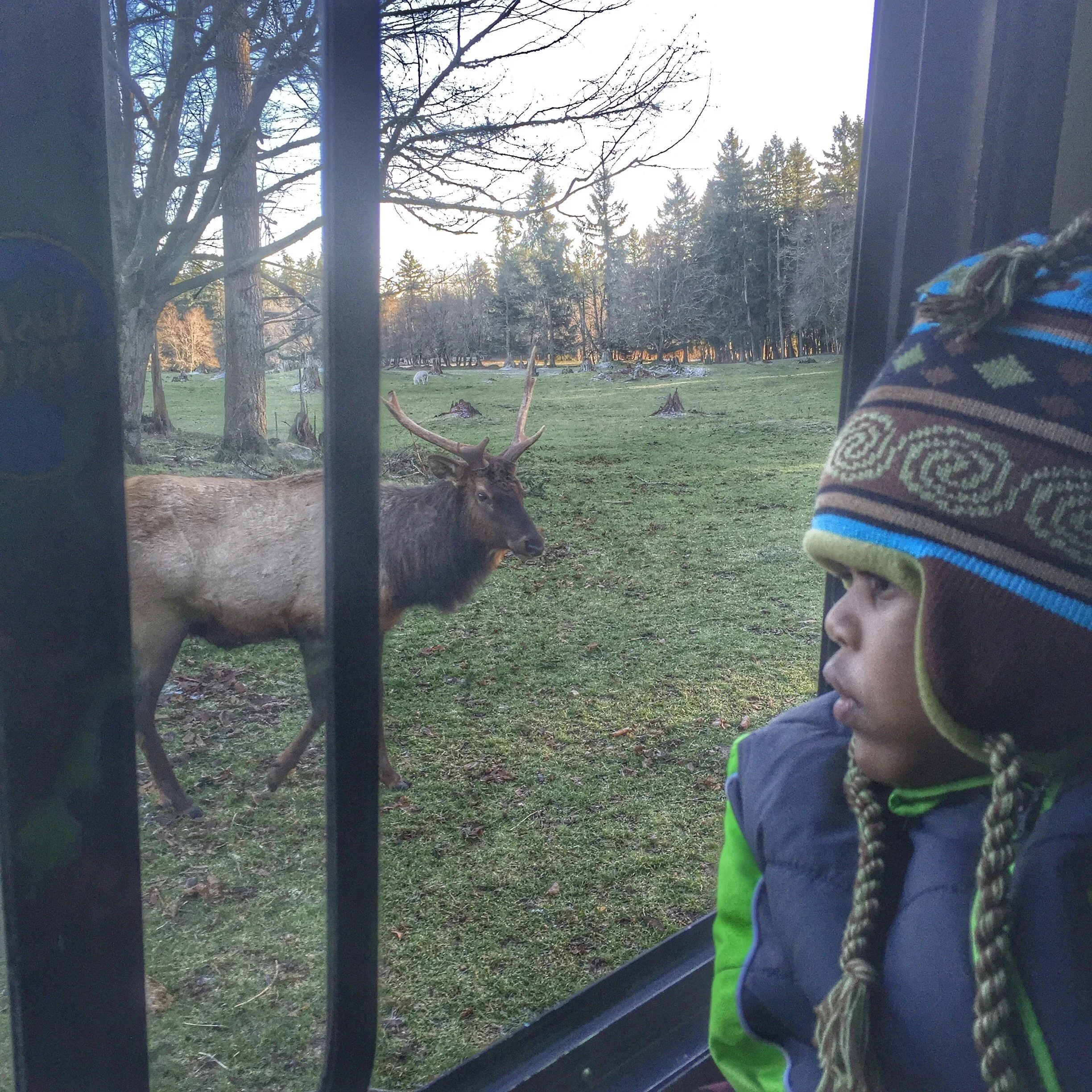 Northwest Trek Washington State with Trilogy In Motion.JPG